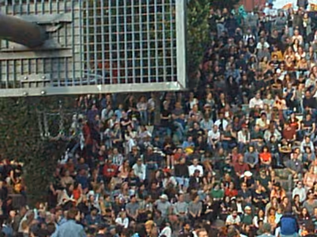 Nice Crowd