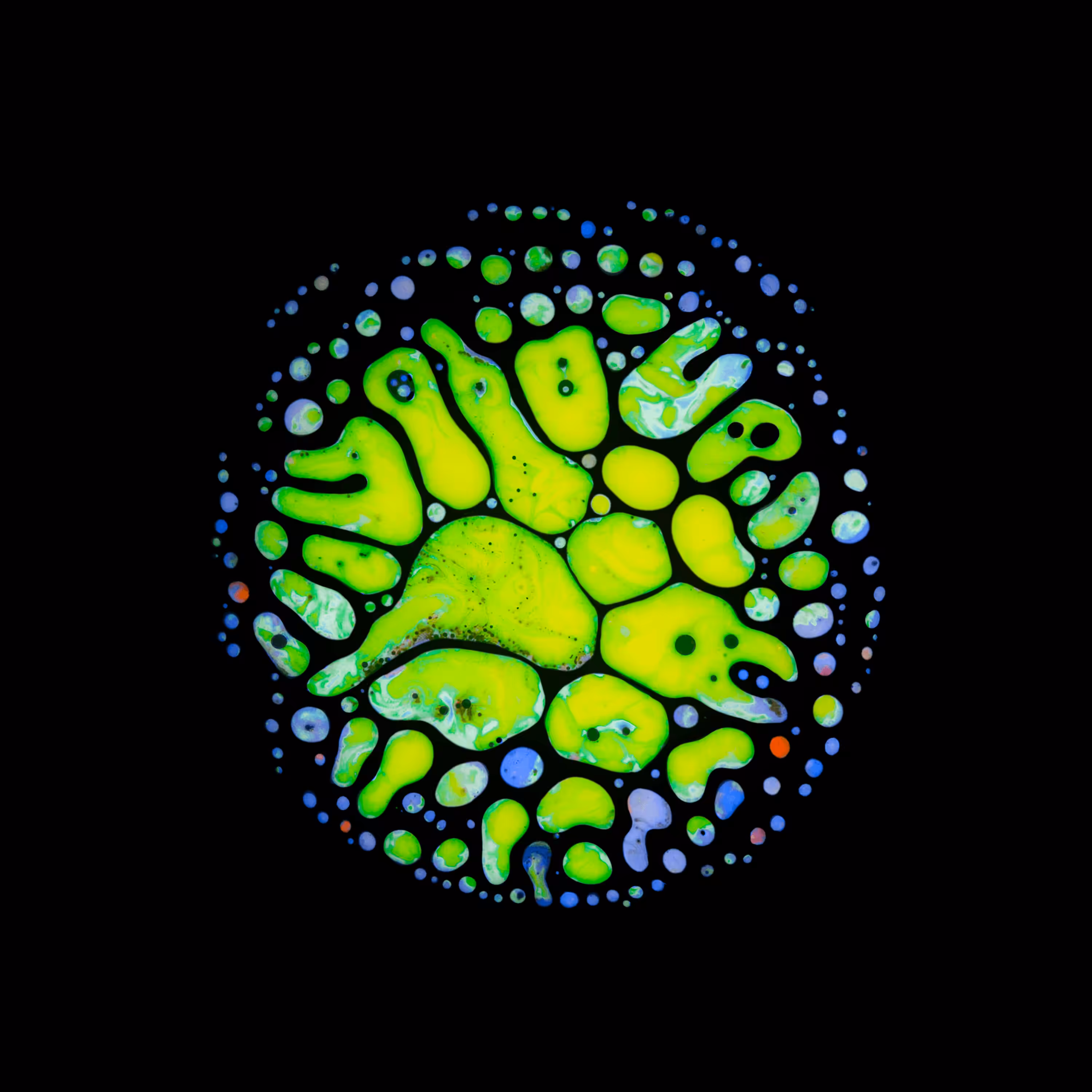 Haematopoiesis #173