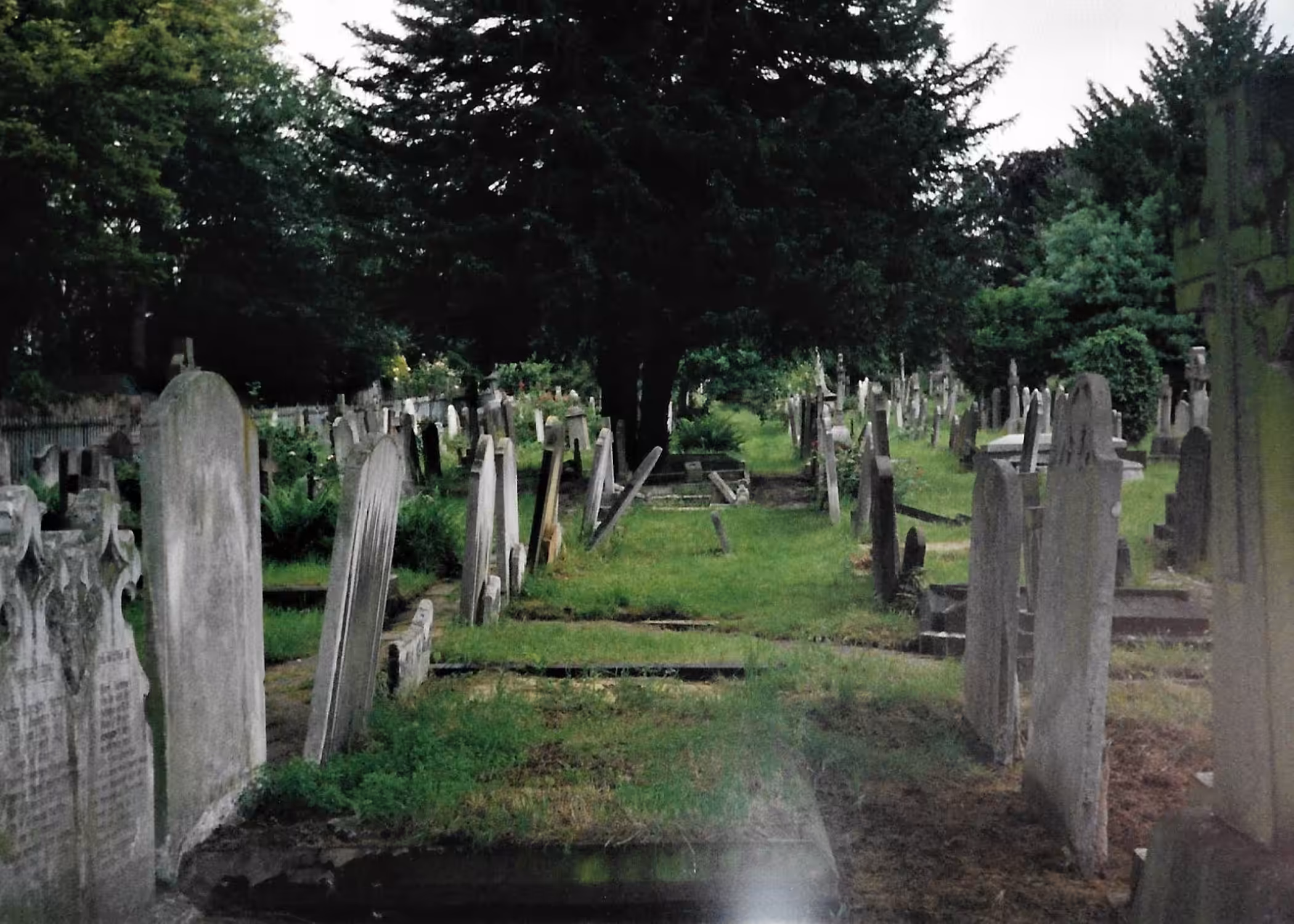Resting in Peace?