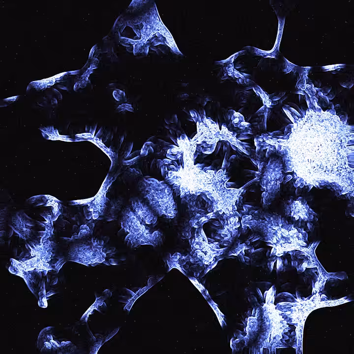 Neuron Network #004