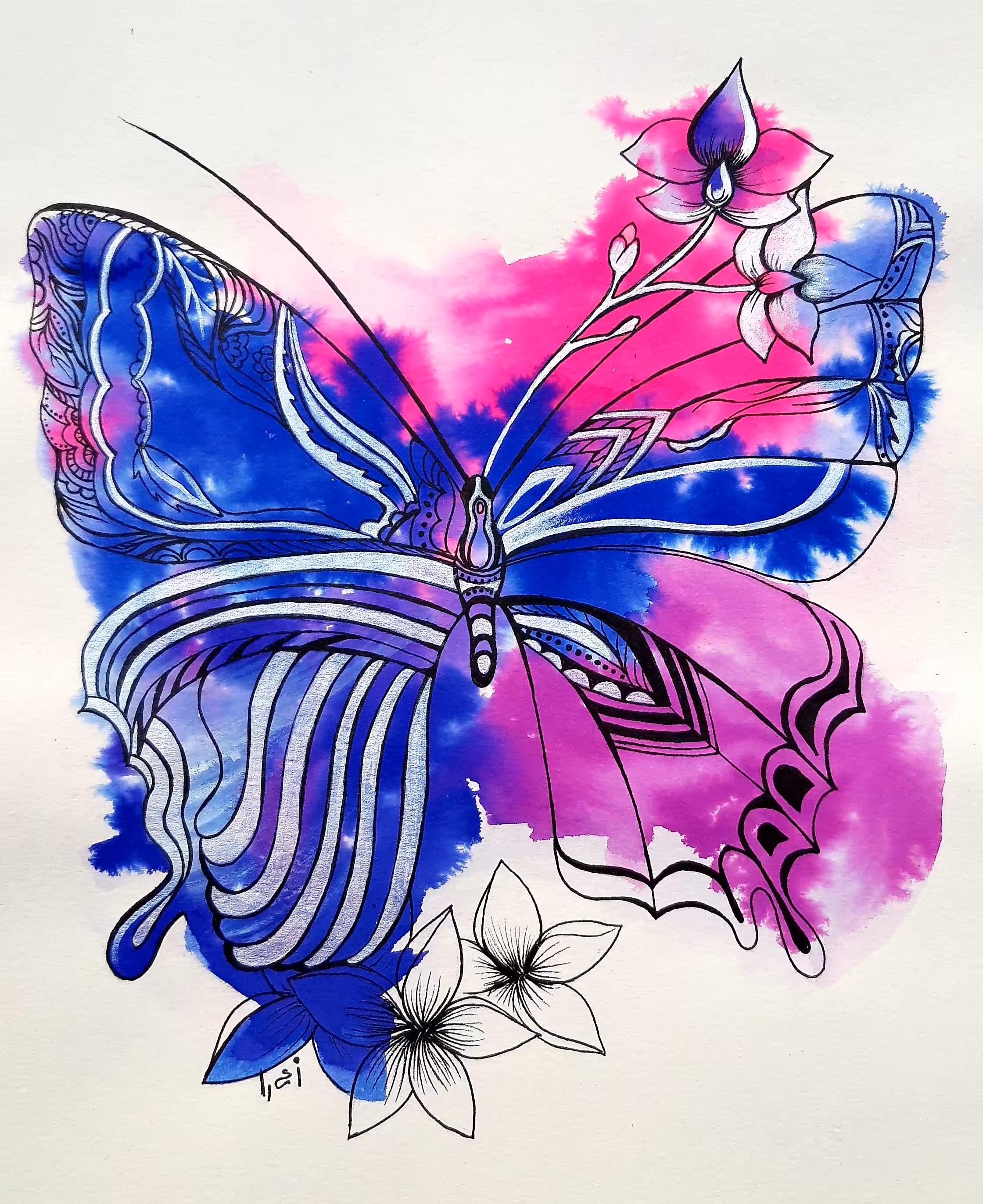 Butterfly 
