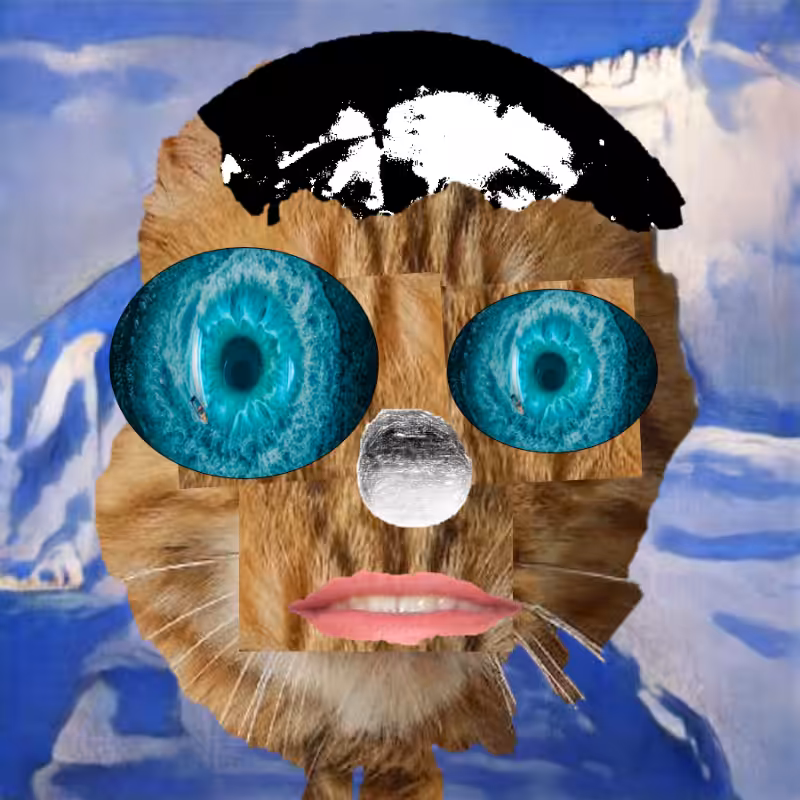 A collage of collages #653
