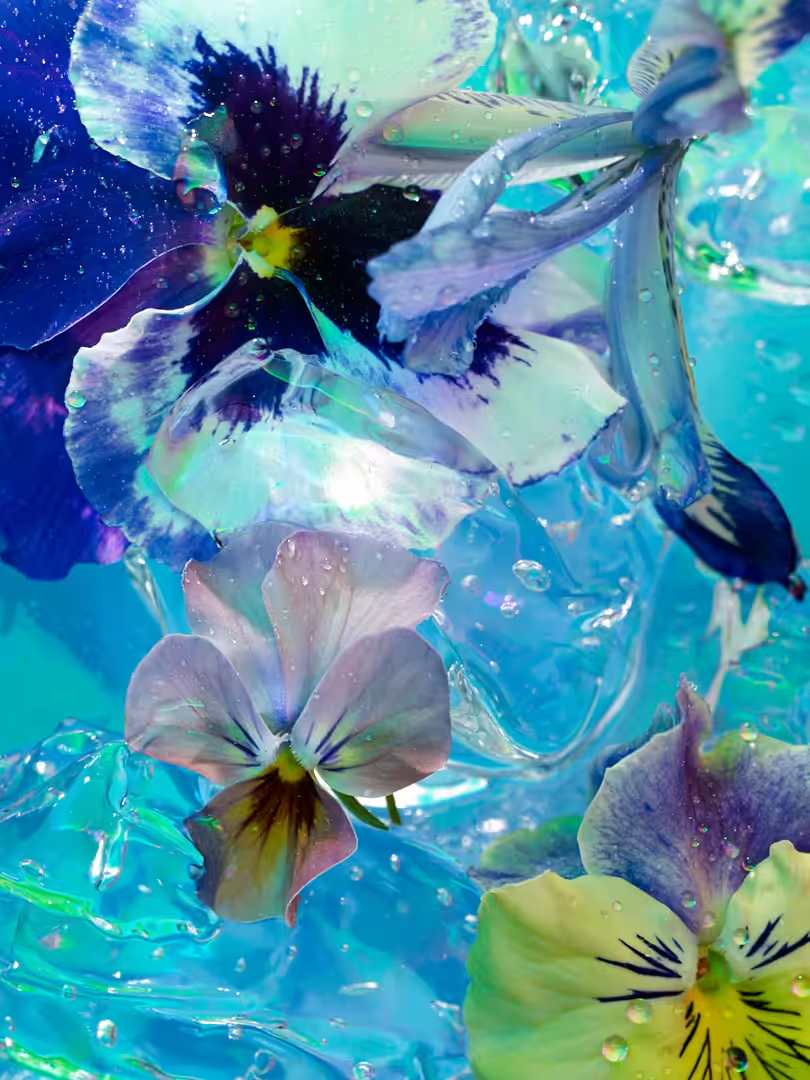 April 2020.  Blossom.