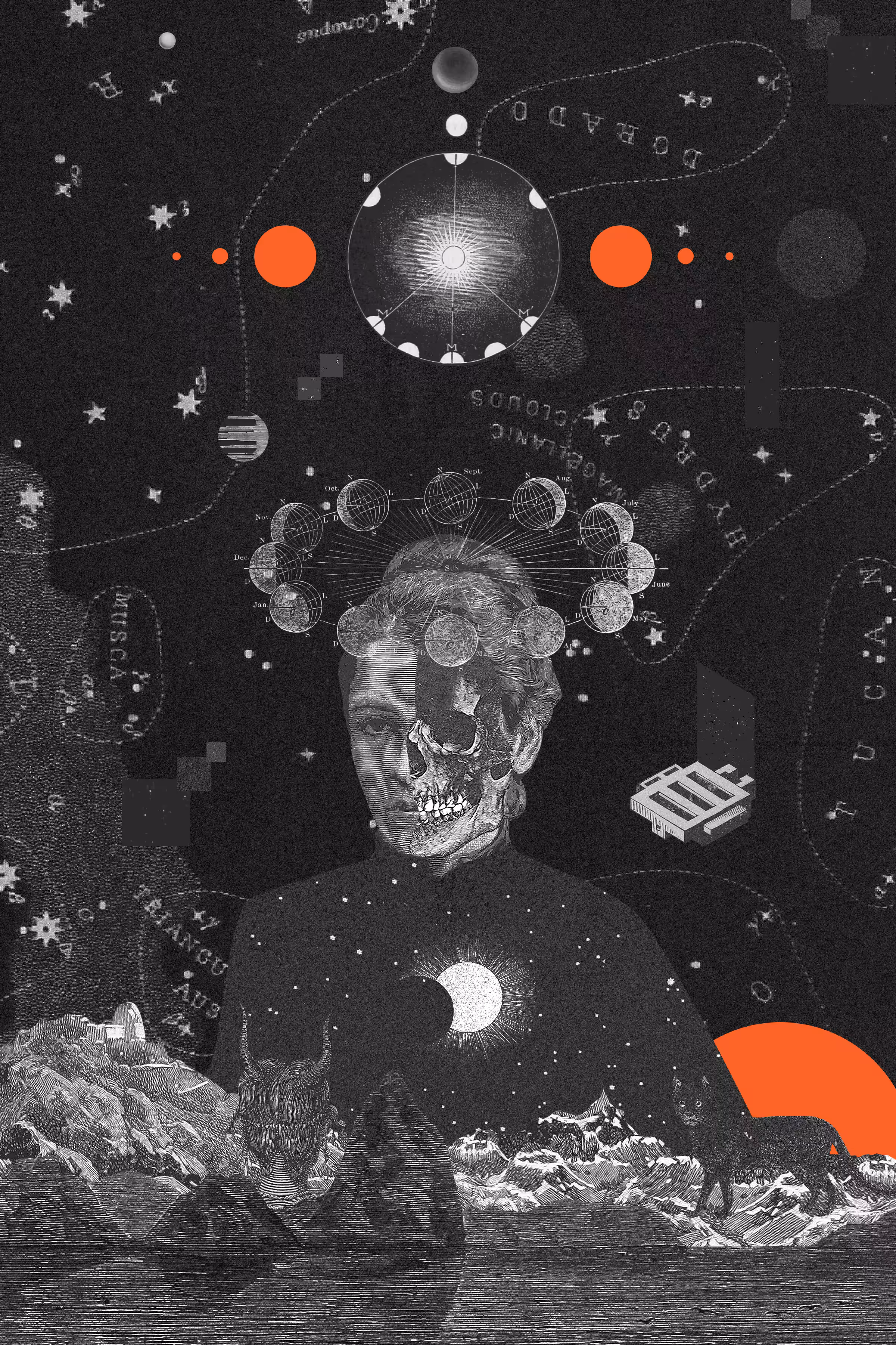 Stardust