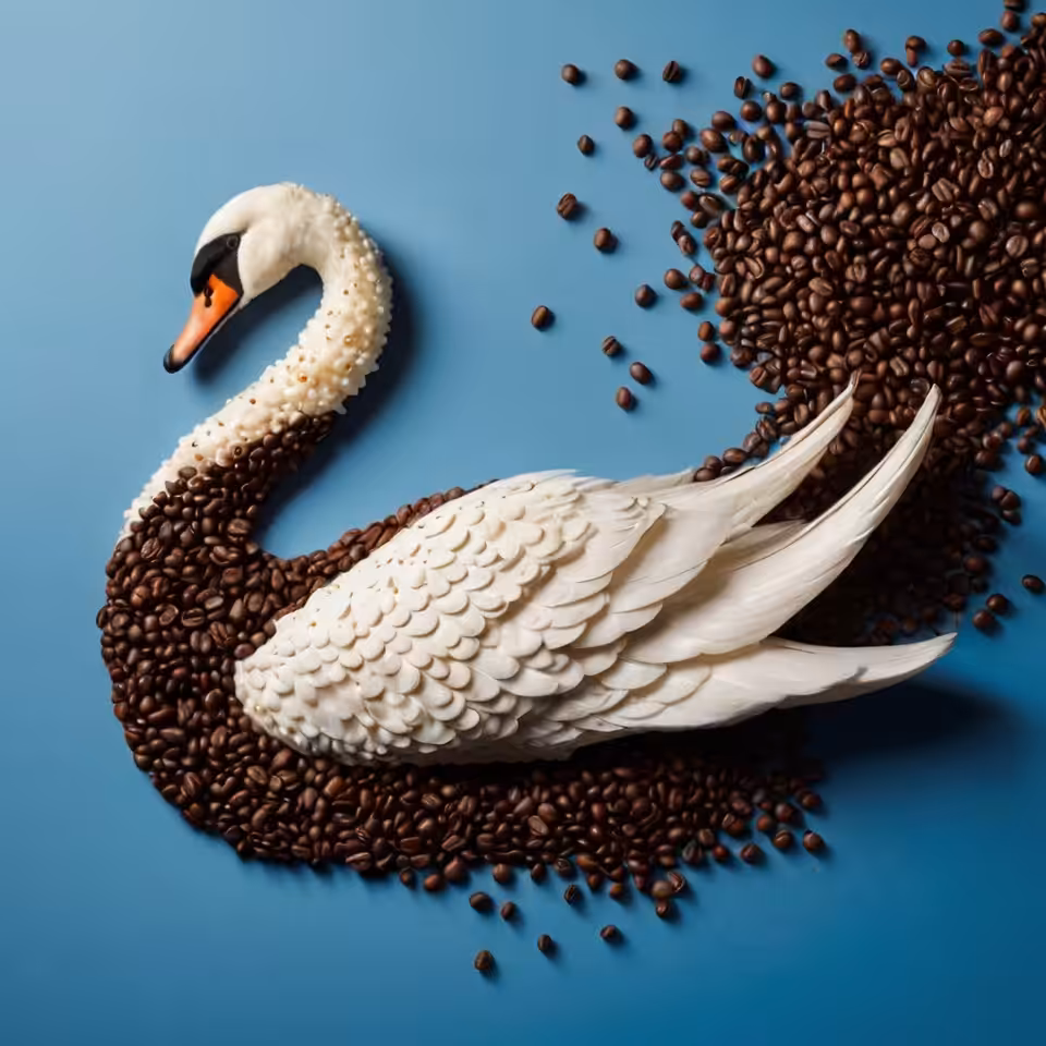 Coffee Swan 001
