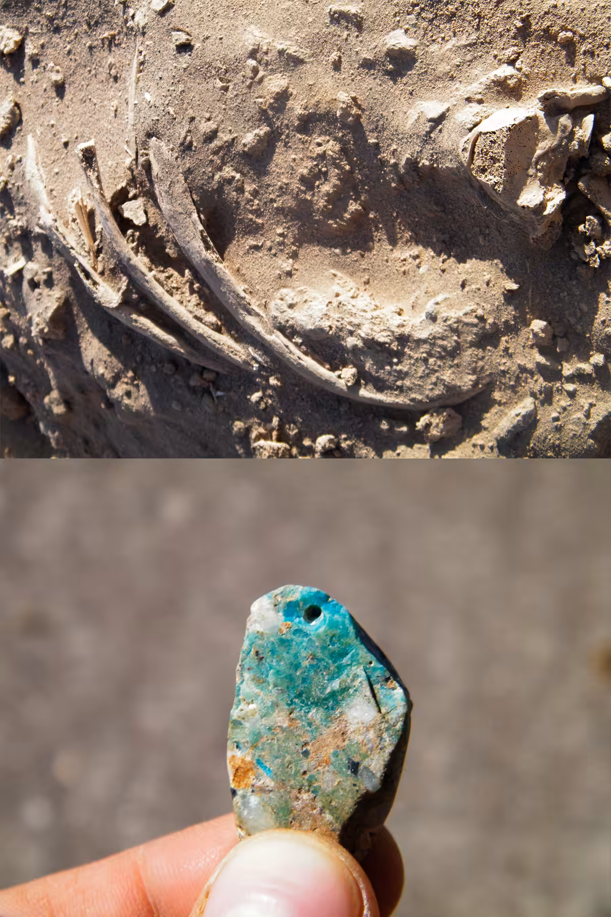 Remains of Atacama