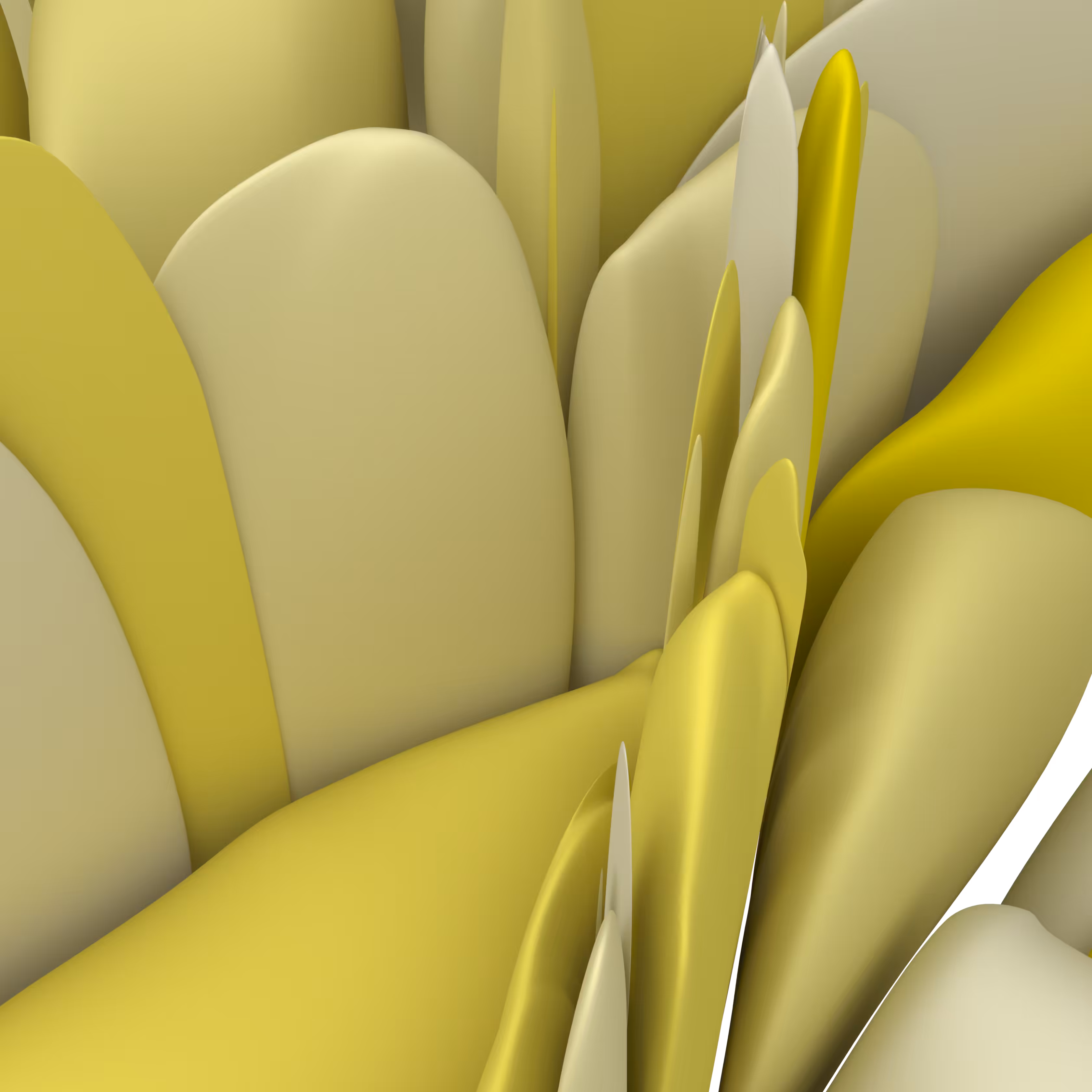loftsubstratesurface_01_yellow