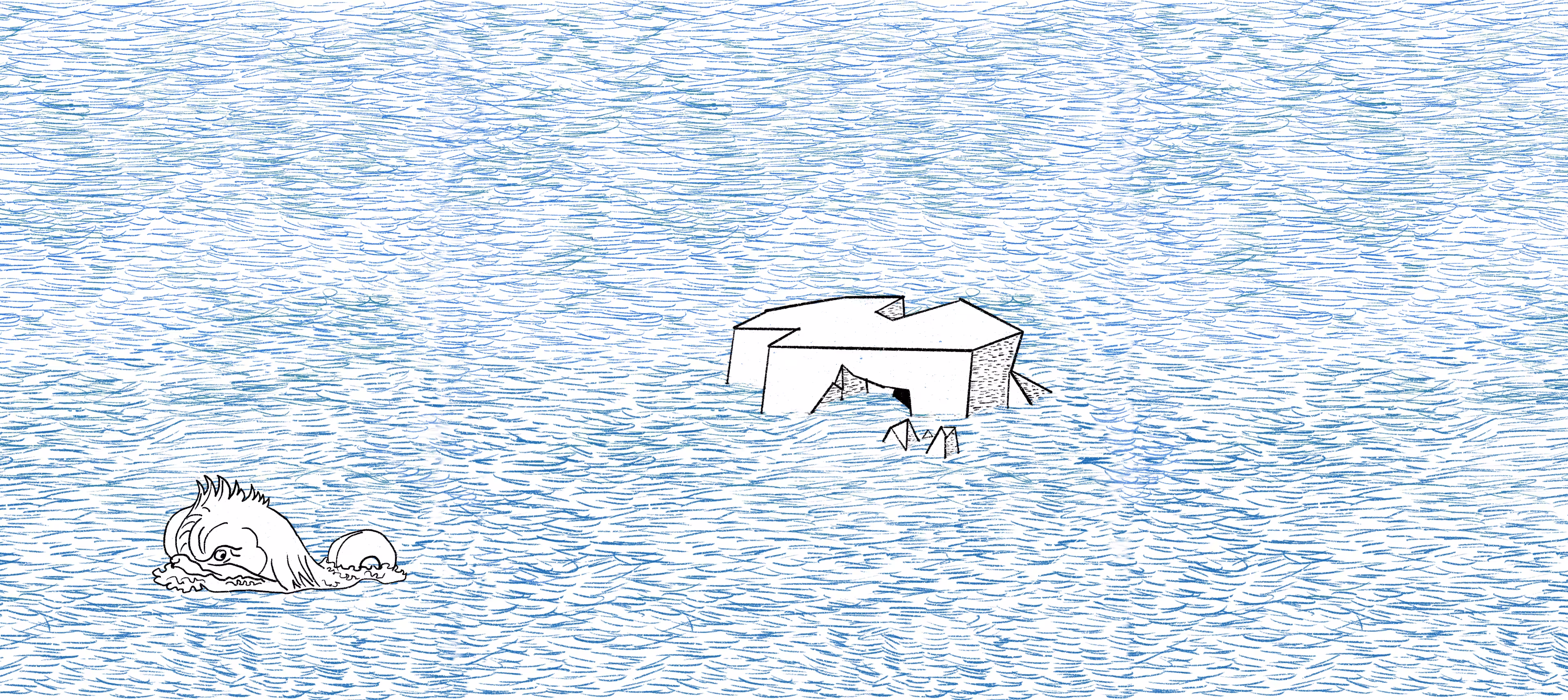 ISLAND #017