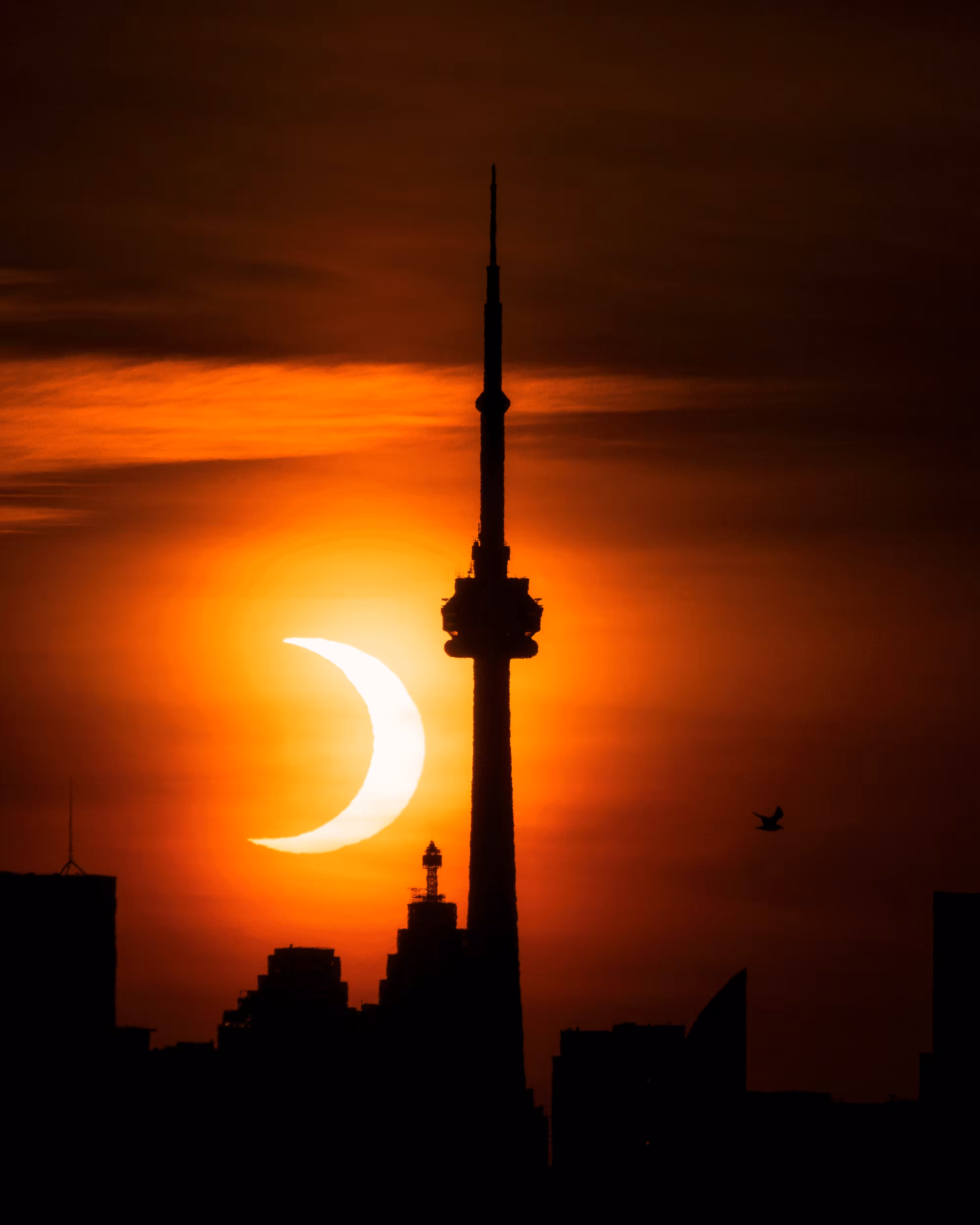 Beyond The Sunrises #9: Eclipse Gold