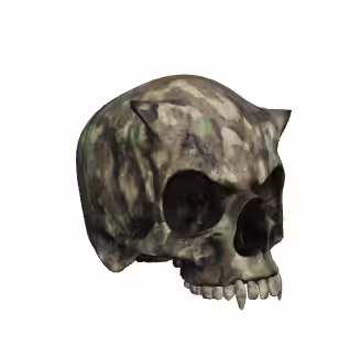 Woodland Skull 360 #13