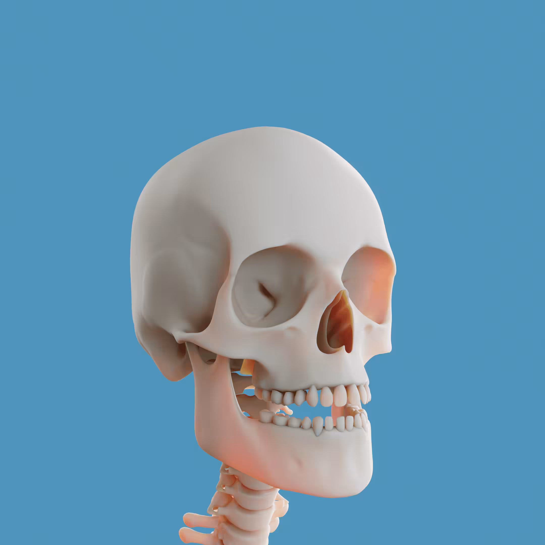 3D Skull Punks: Skull Punk #189