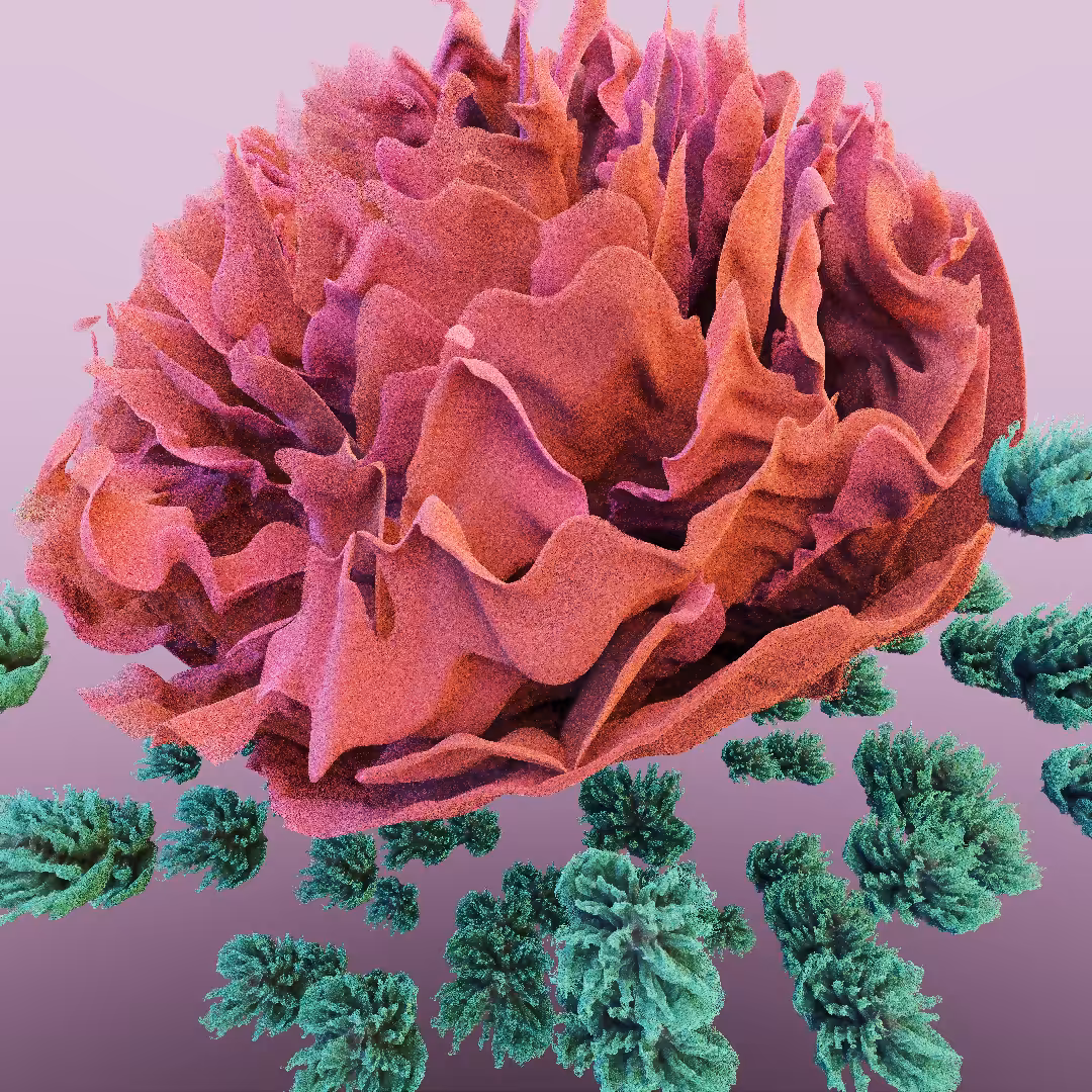 rosarium #181