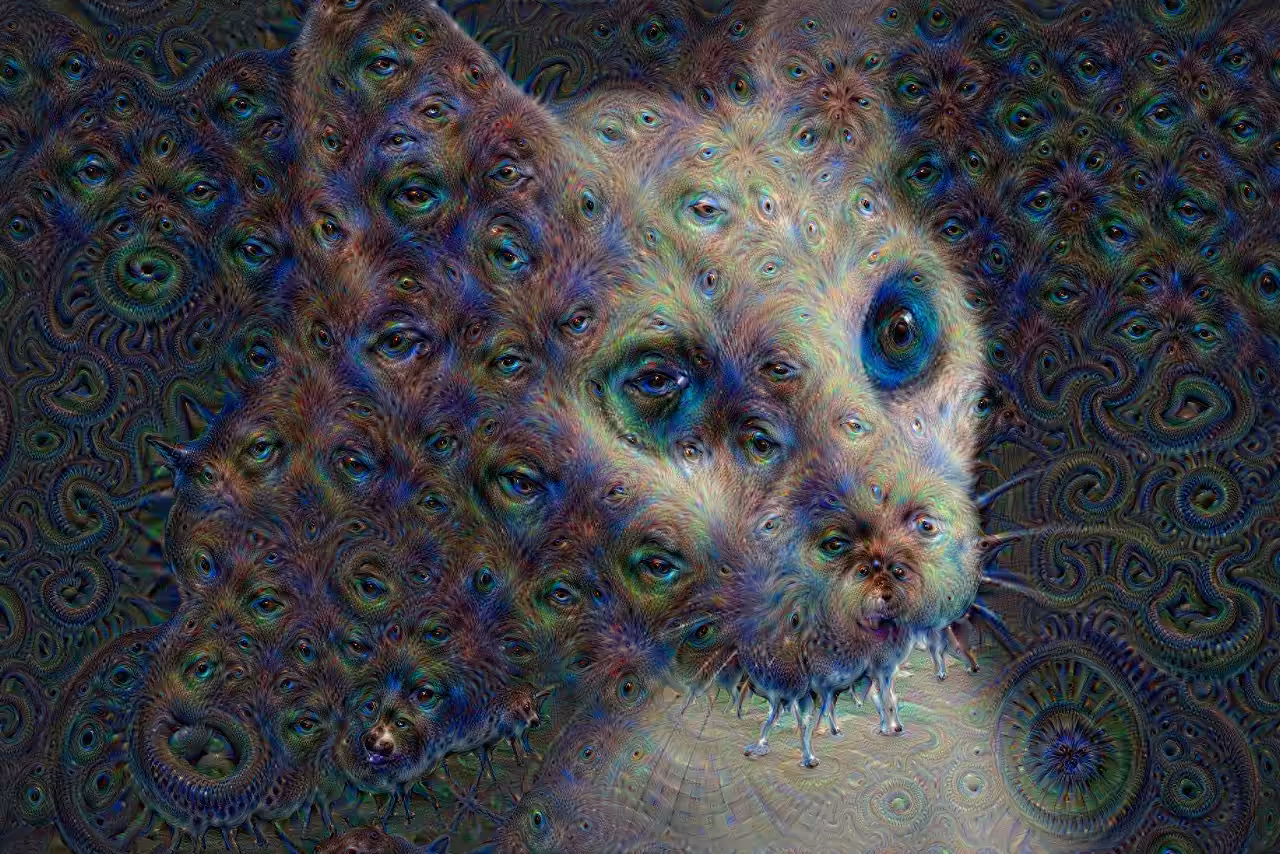 002 - White Cat