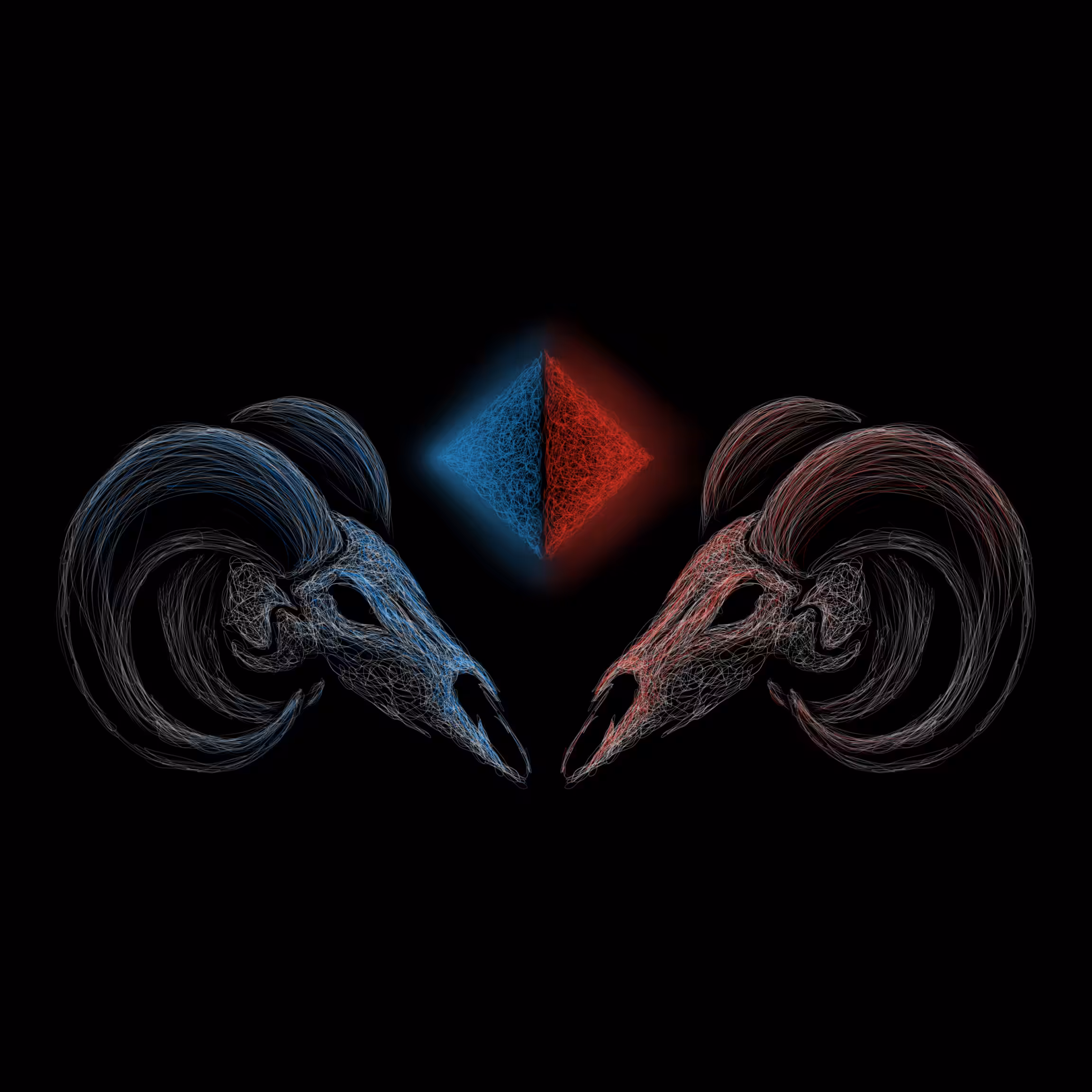 Skulls of nature