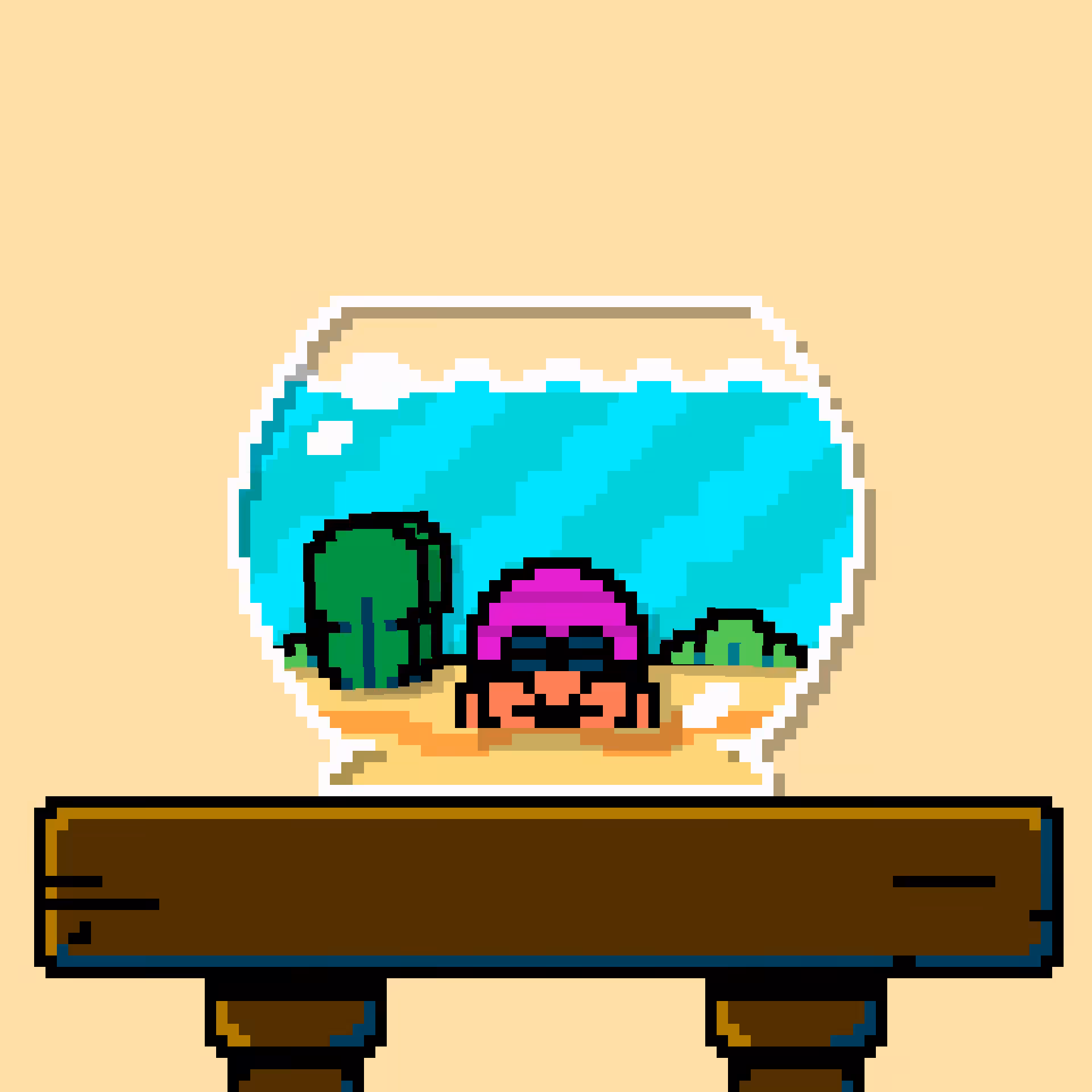 hermit crab #187