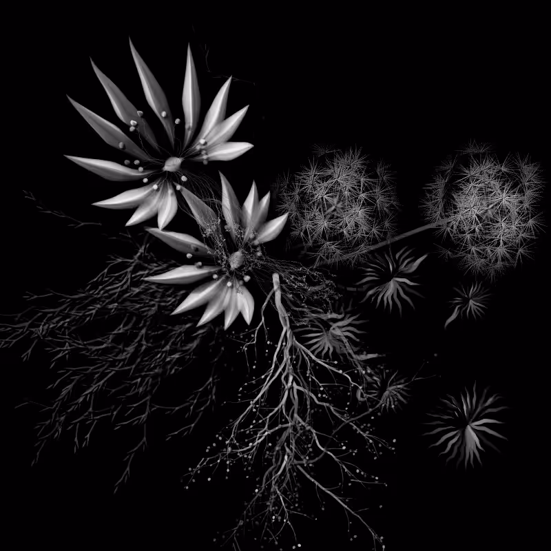 Botanical Ghosts #345