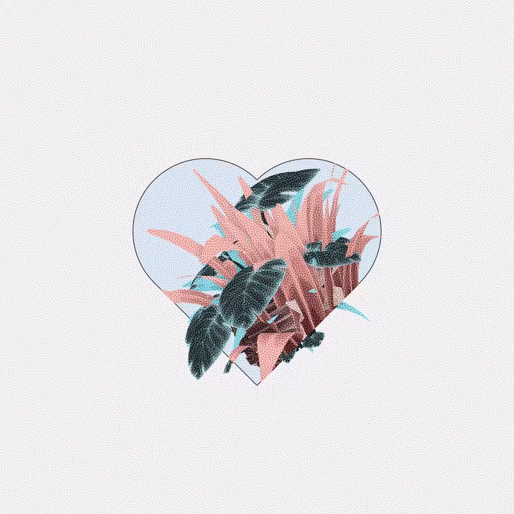Botany #181