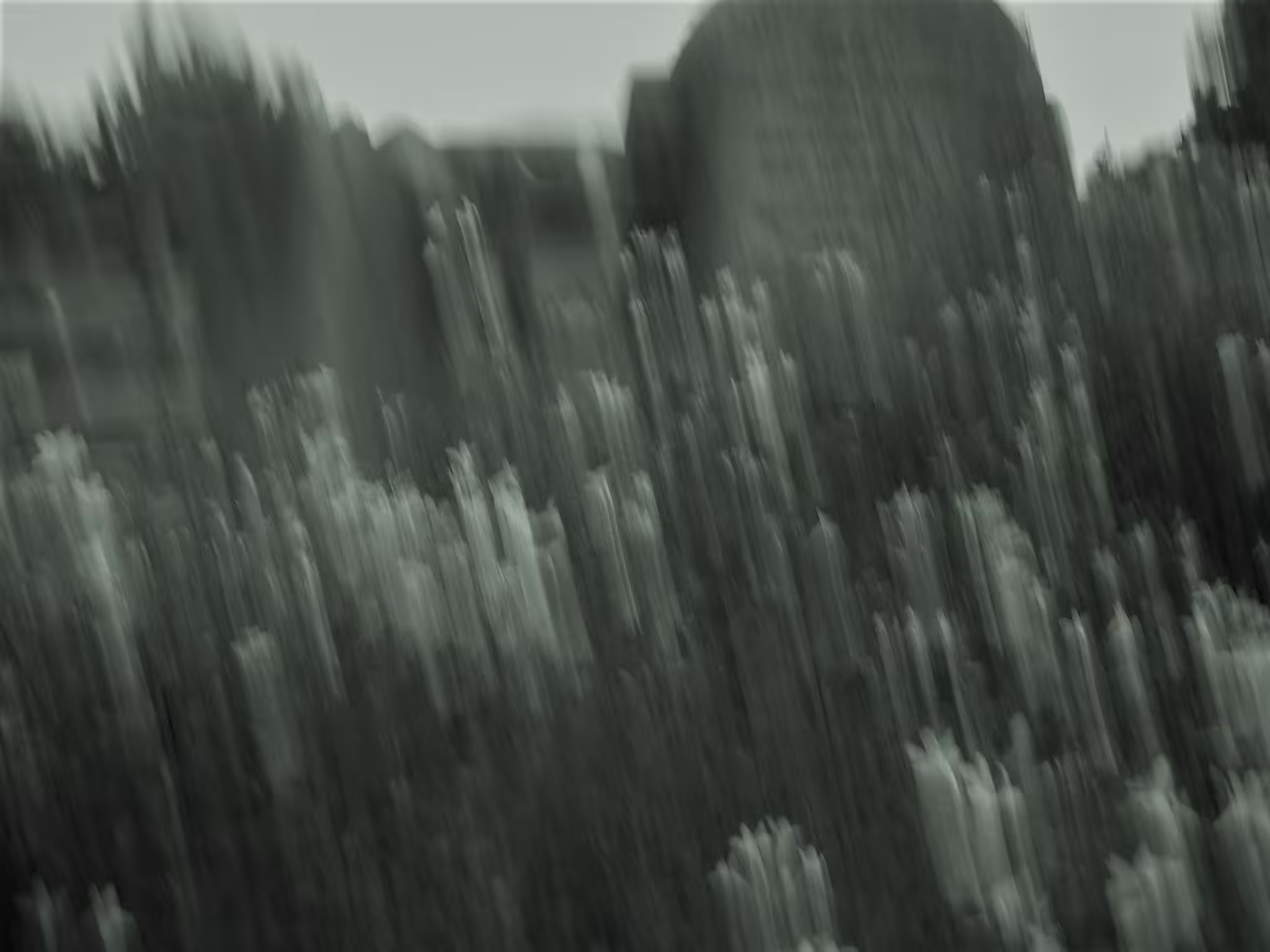 Motionless