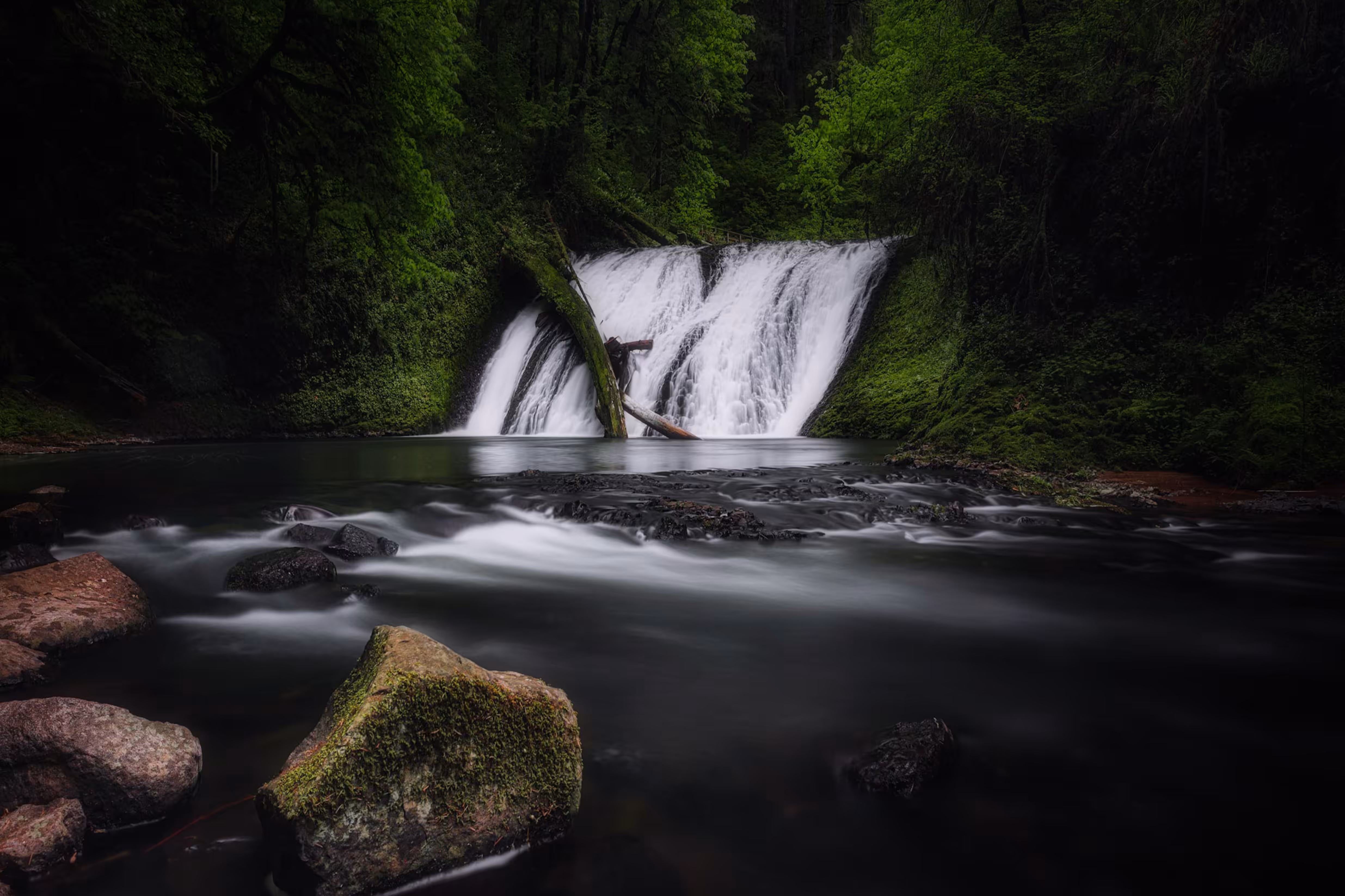 #022 - Who Put That Tree There Falls