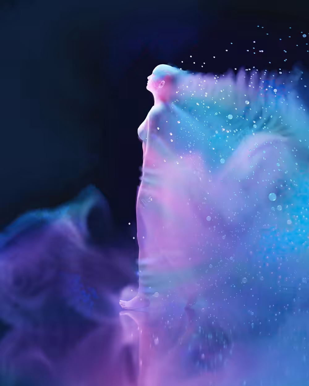 Vanish