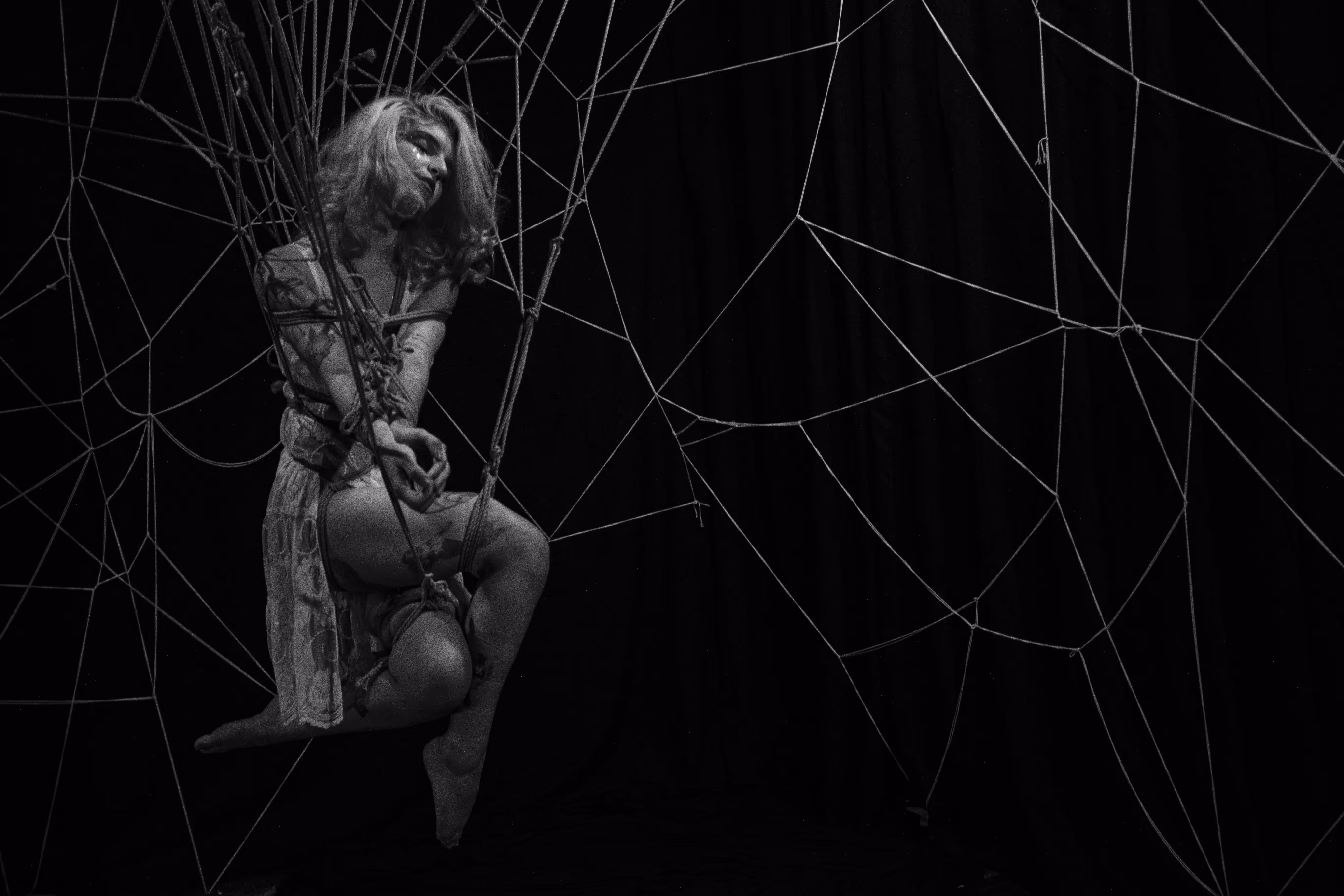 Web #3