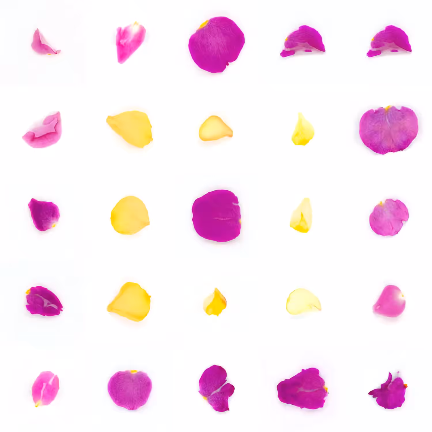 Infinite Petals 5x5#20596