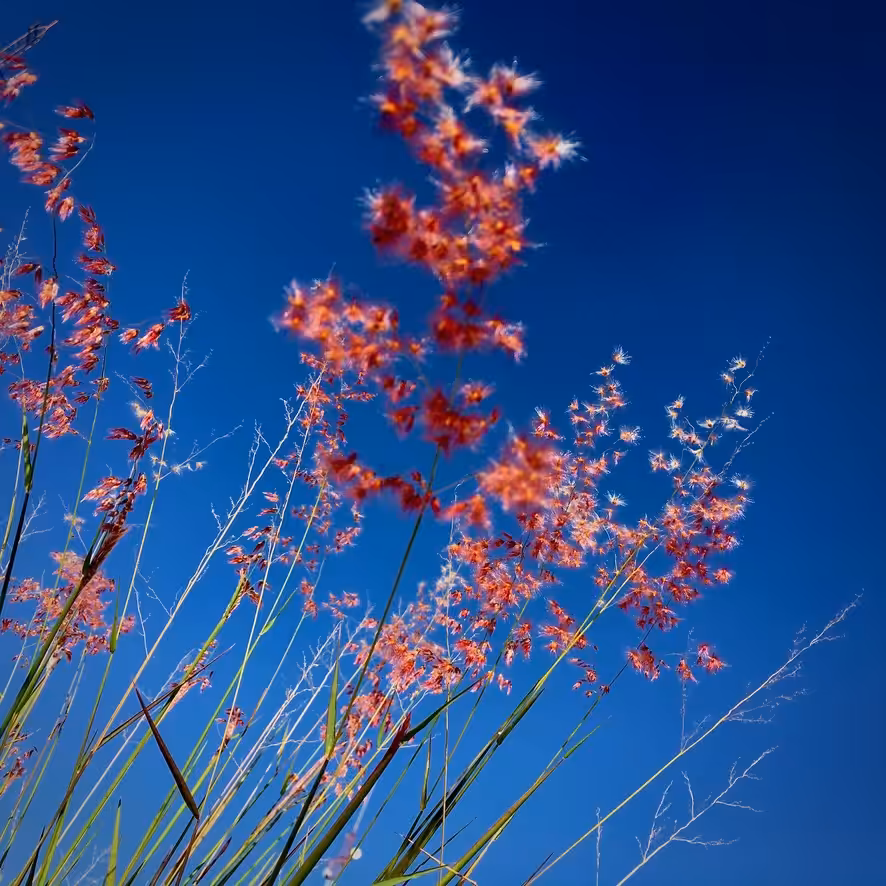 windMyLover 6of10