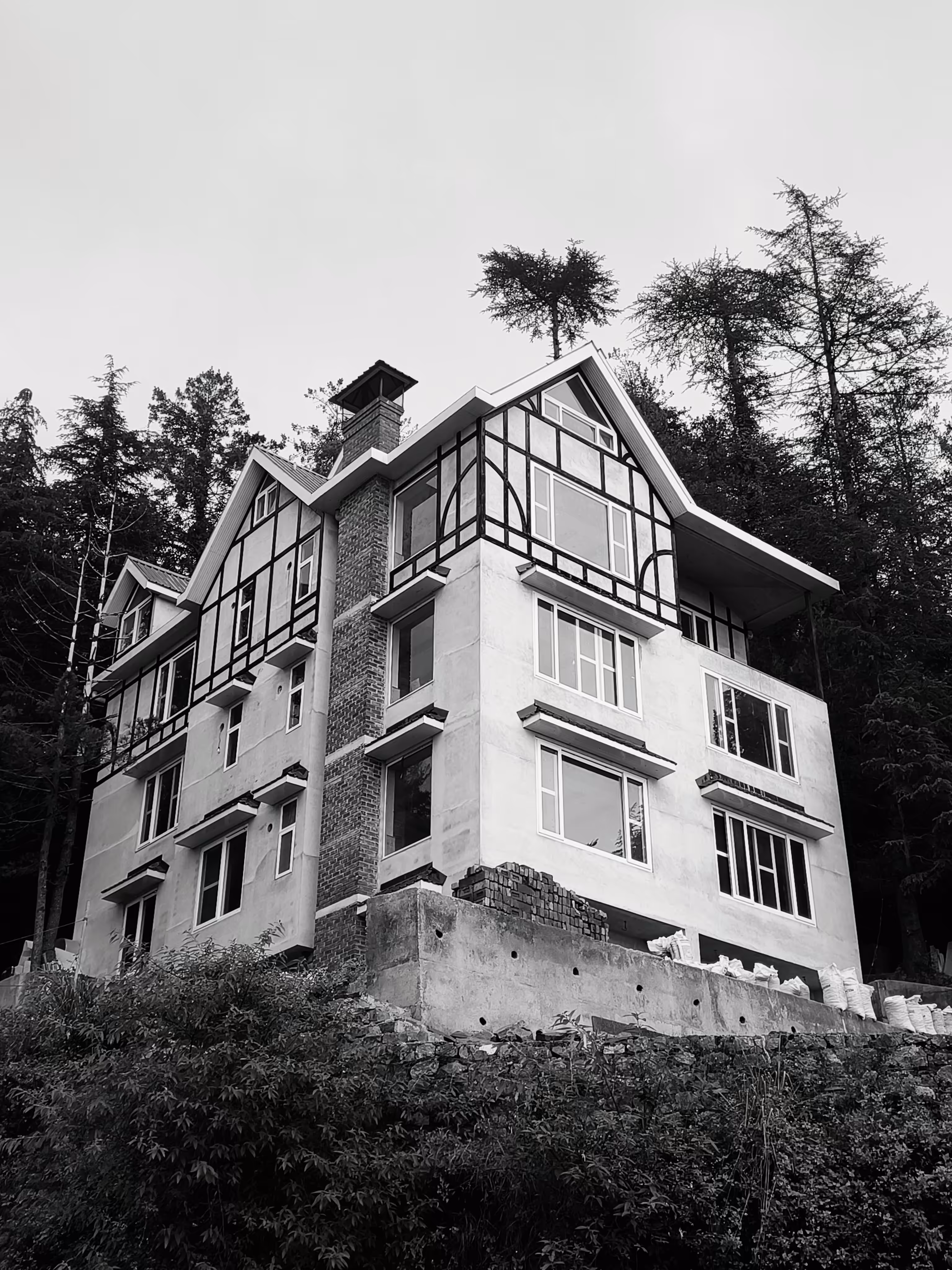 Heaven in the Woods