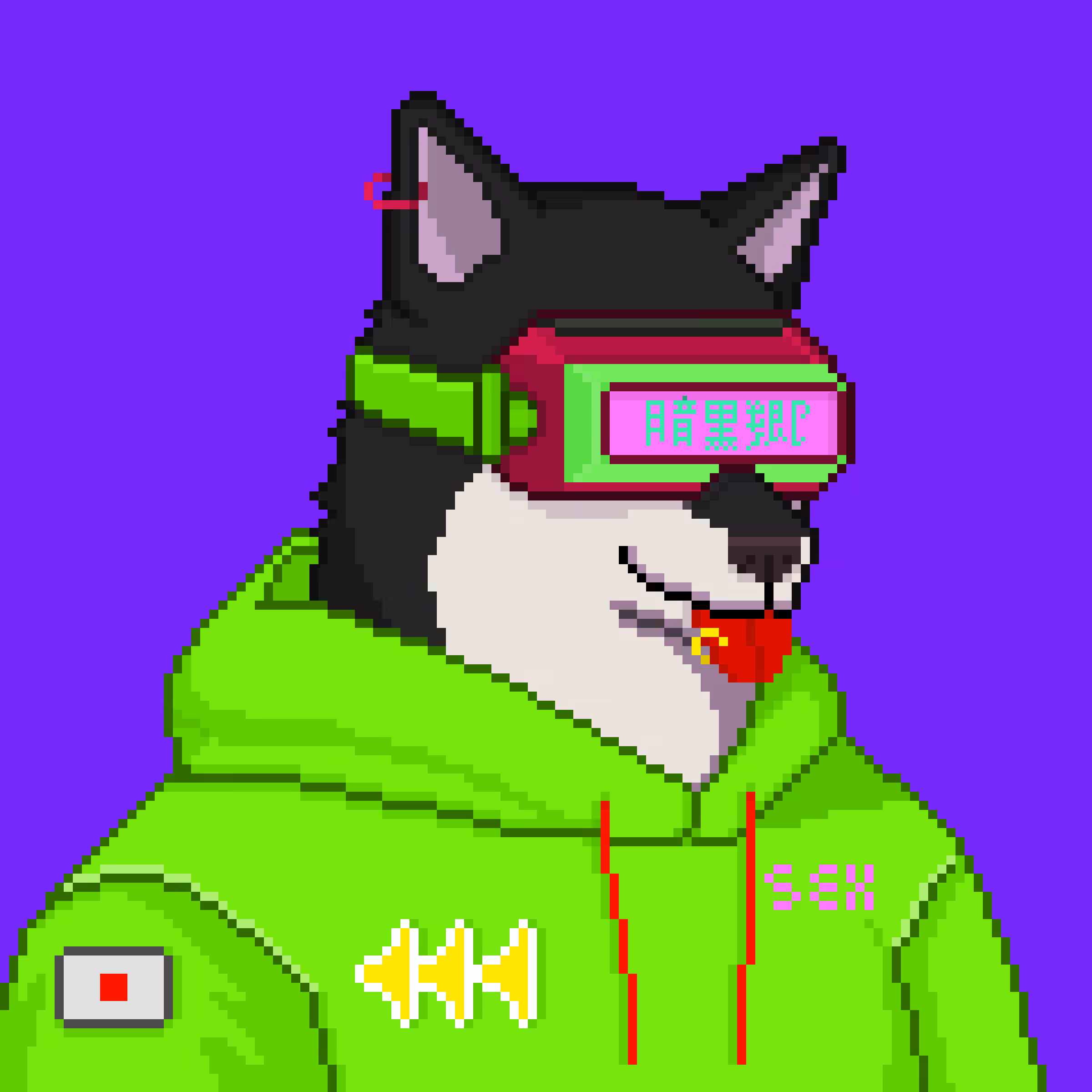 Cyberinu X #0011