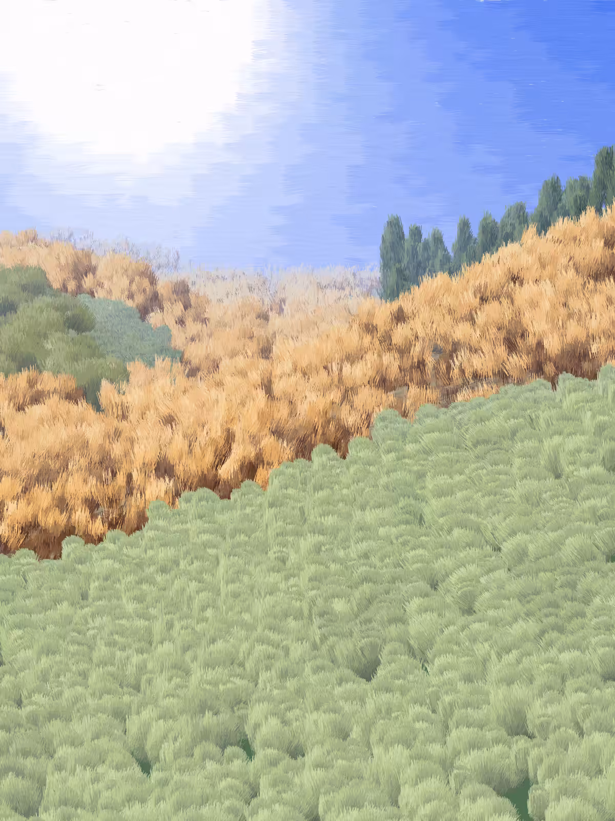 Provence #112