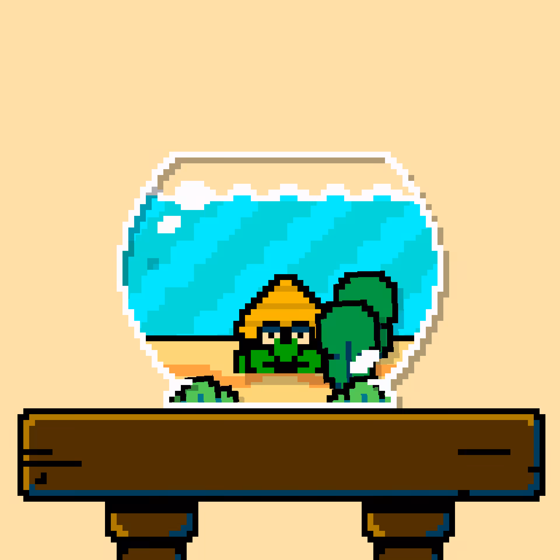 hermit crab #210