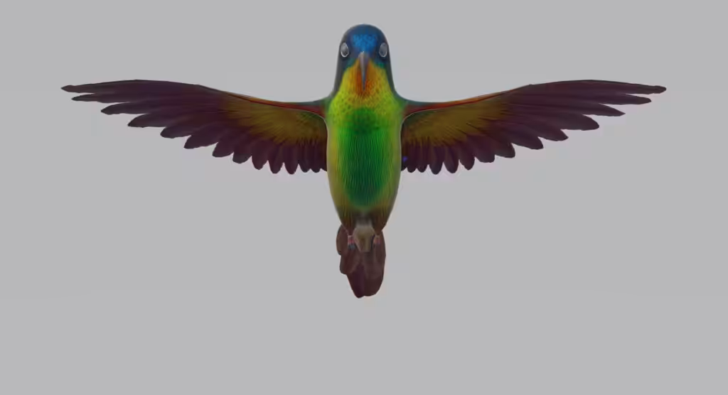 3D Animated Flying Hummingbird Model