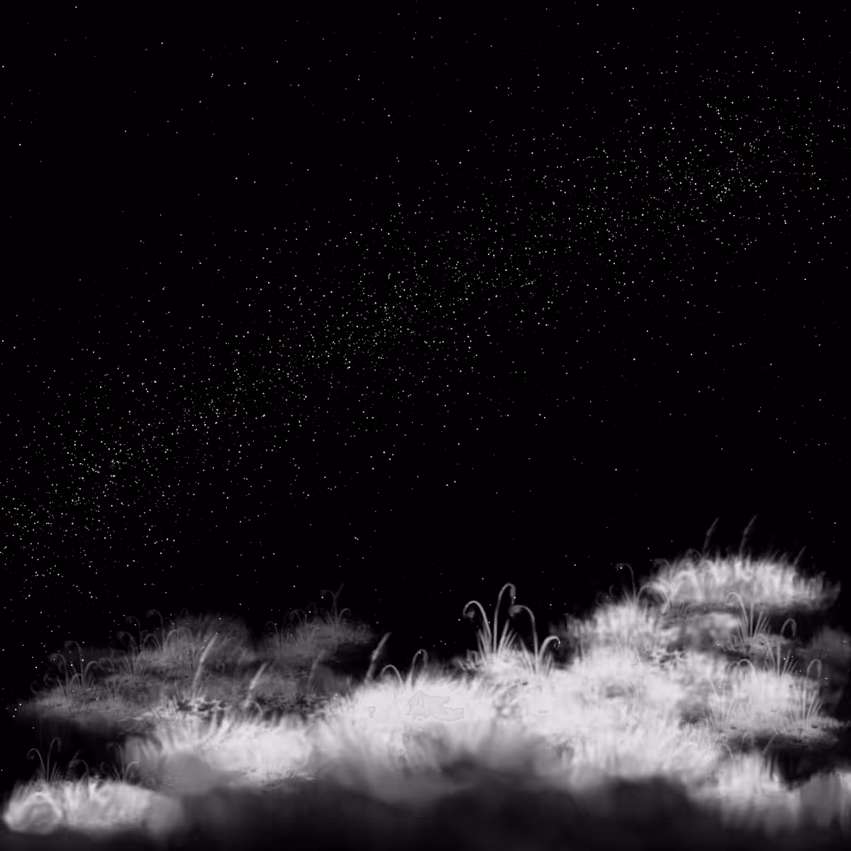 Midnight Lagoon