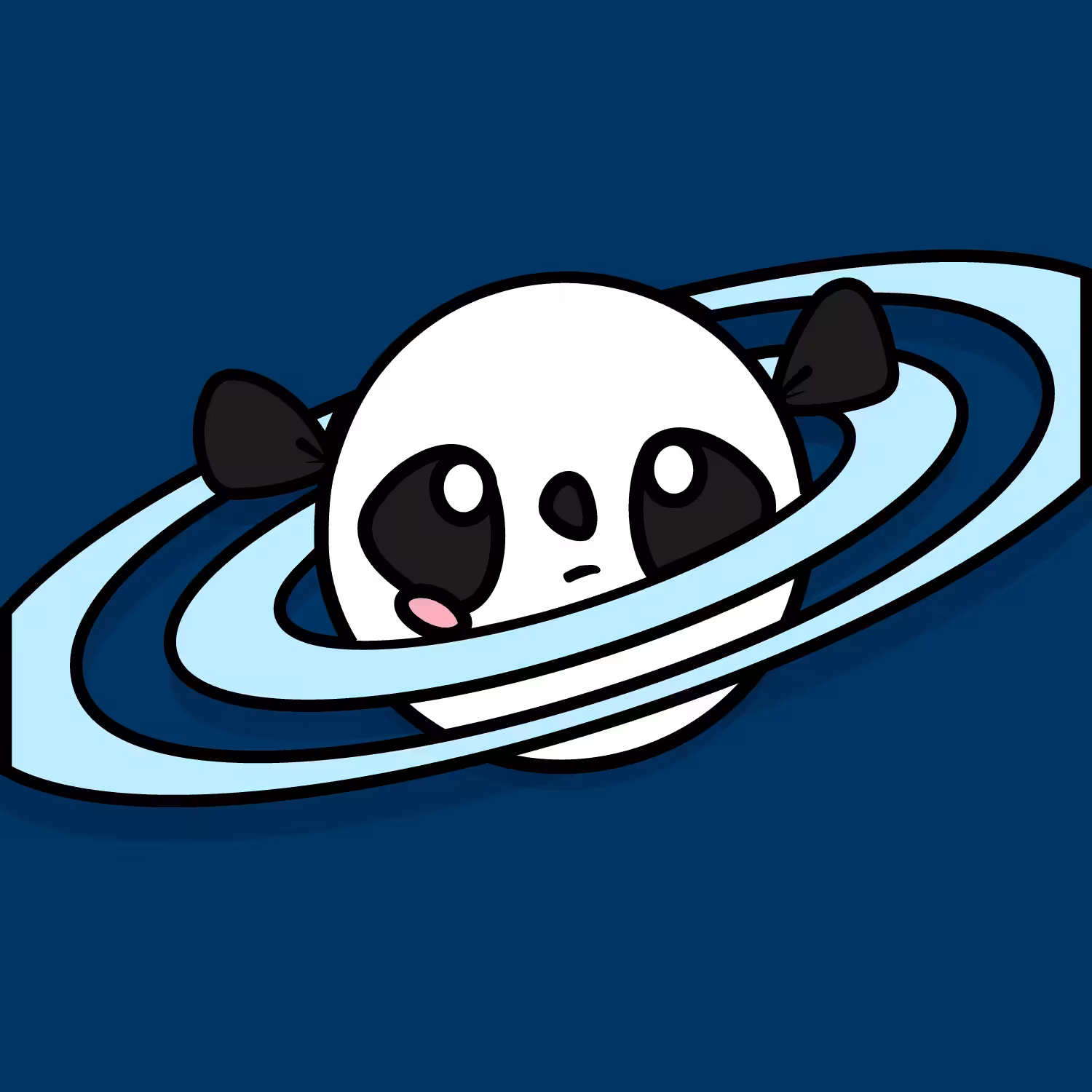 Piece of Saturn Panda