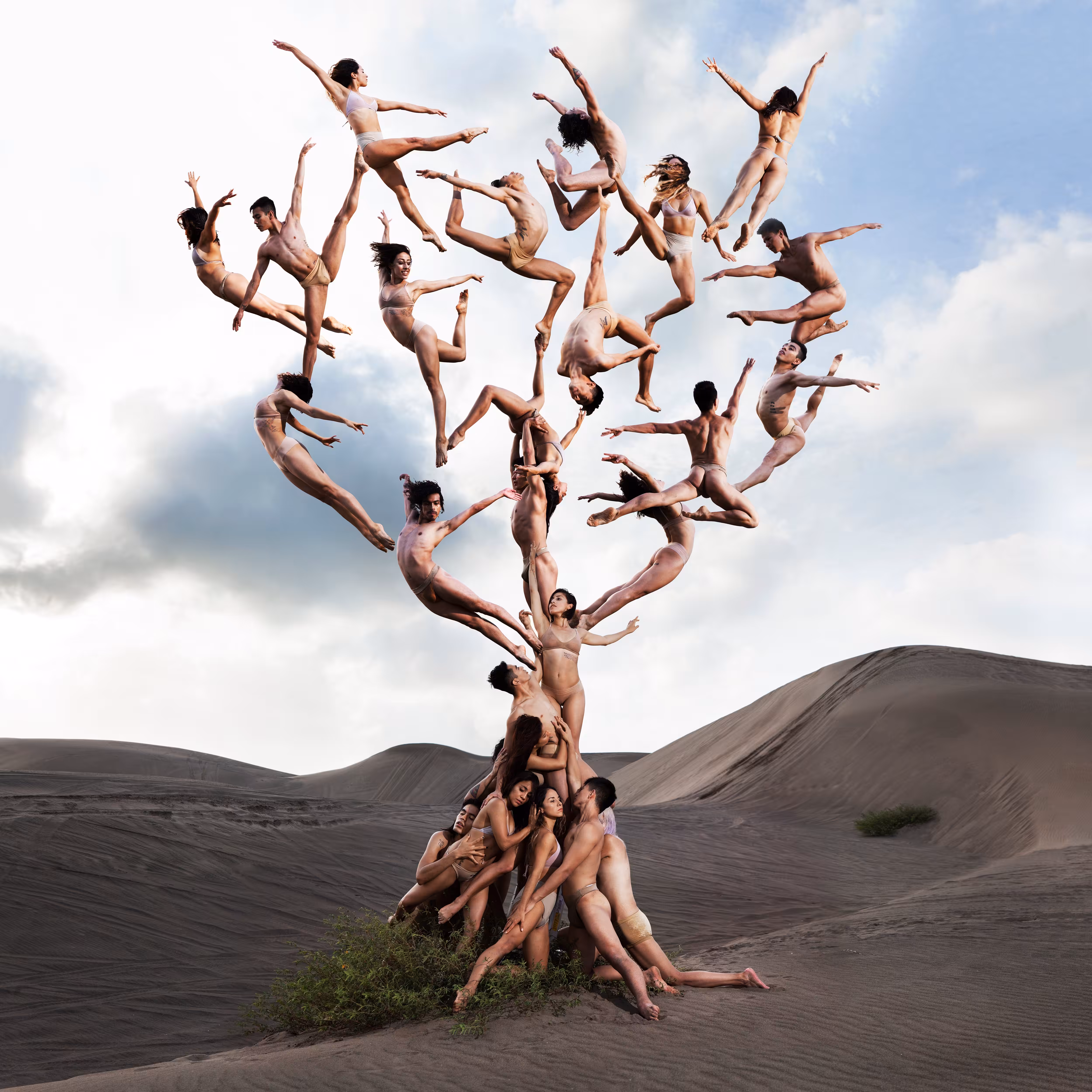 Tree Of Life