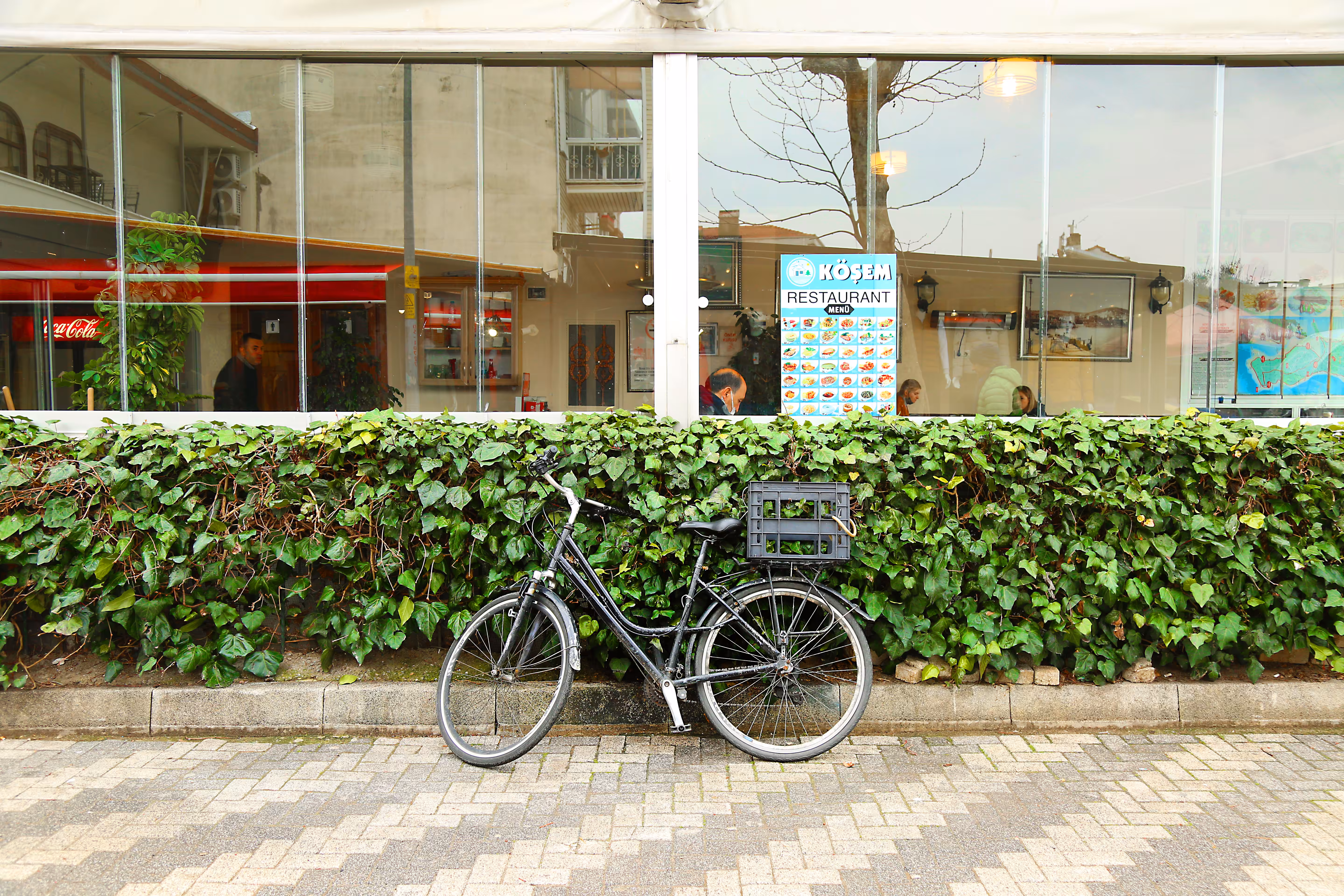 Green plants and bicycle