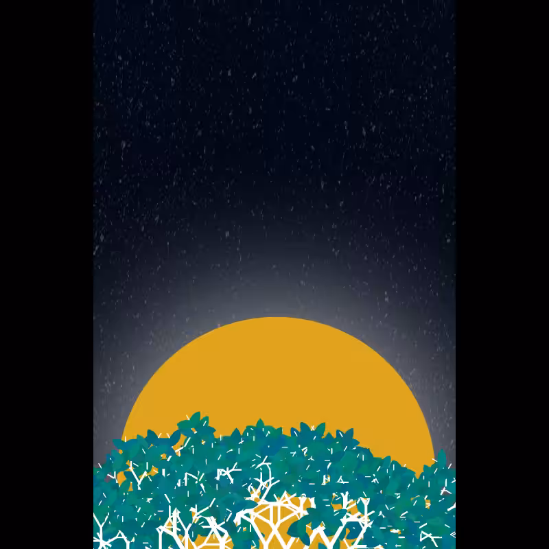 Moonlight Sonata #40