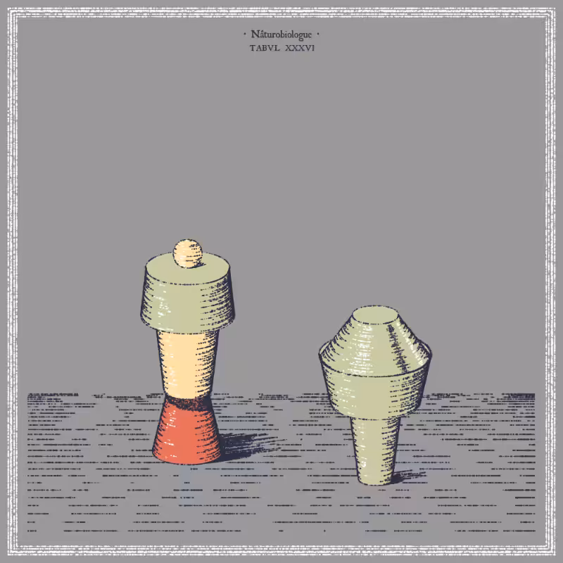 Arbitrary Vessels #50