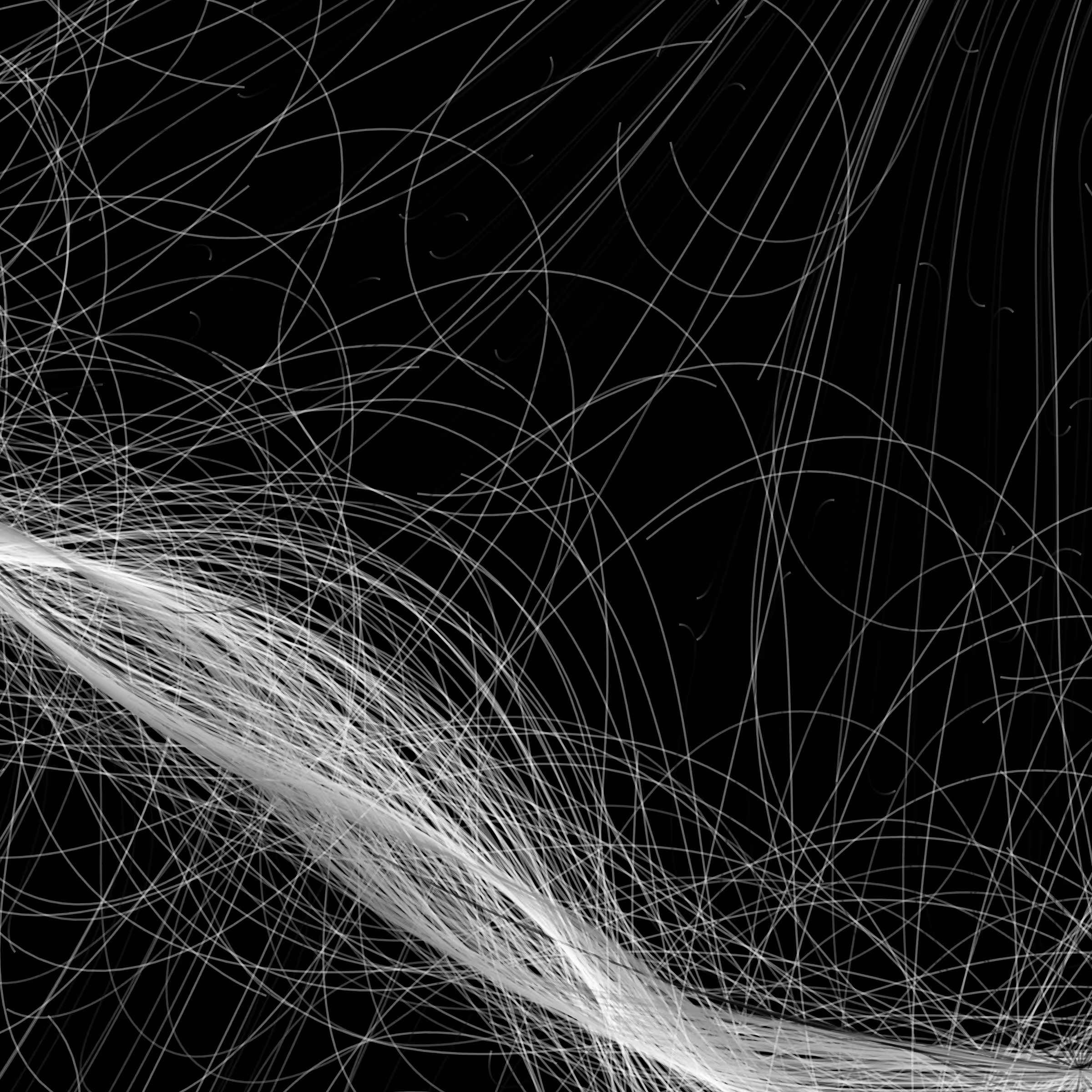 Phototaxis #402