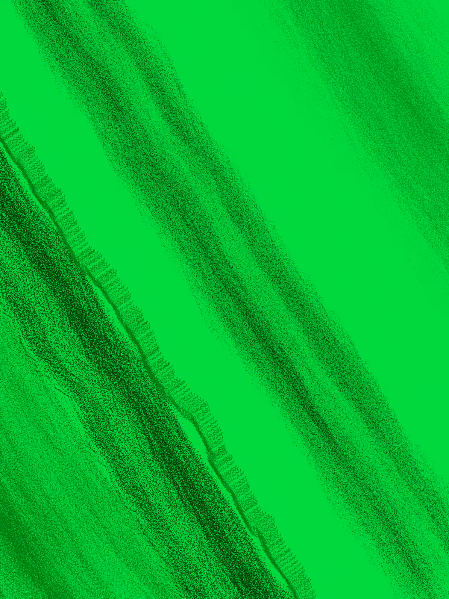 Floating Point  #20