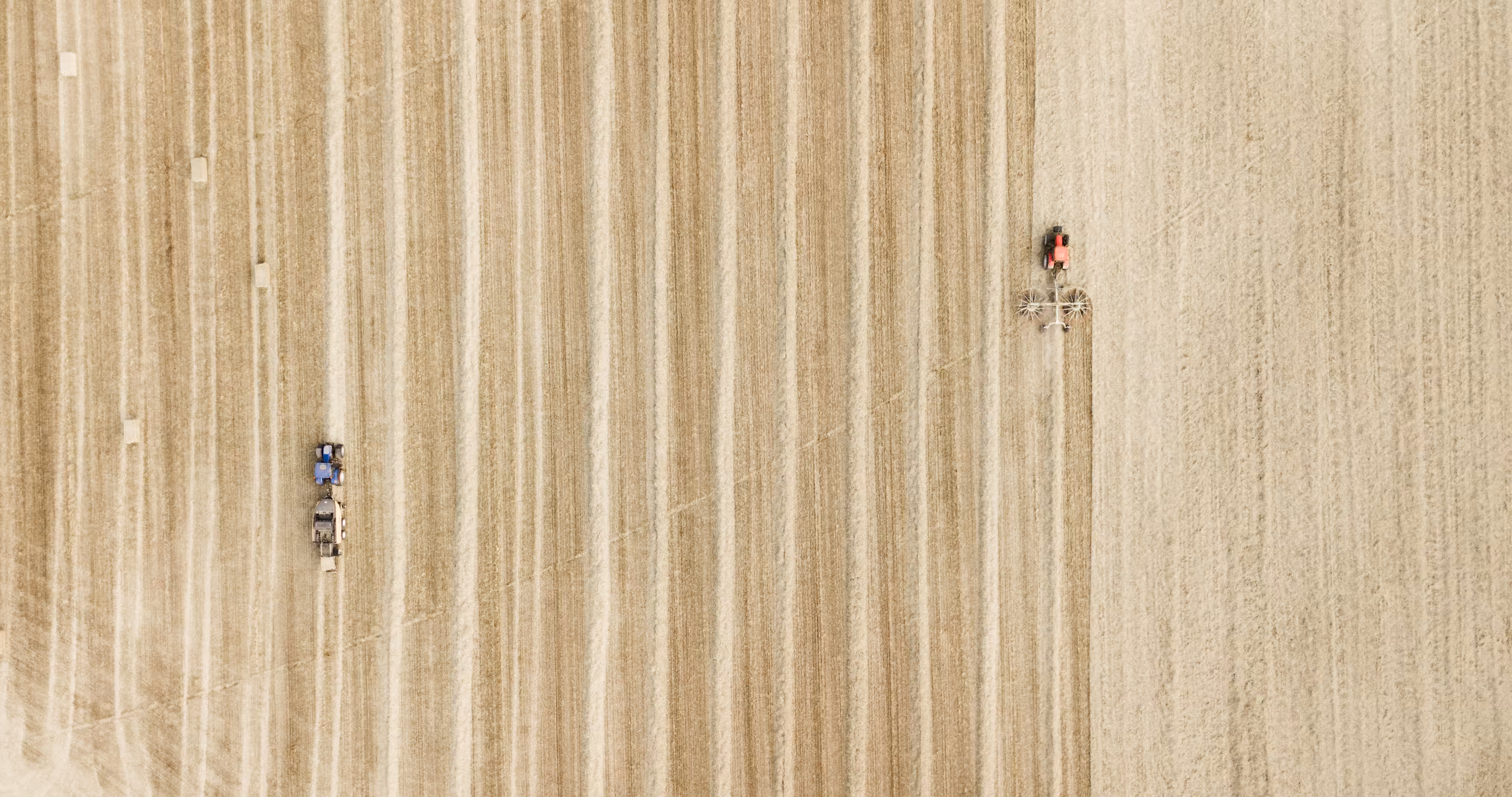 HARVEST