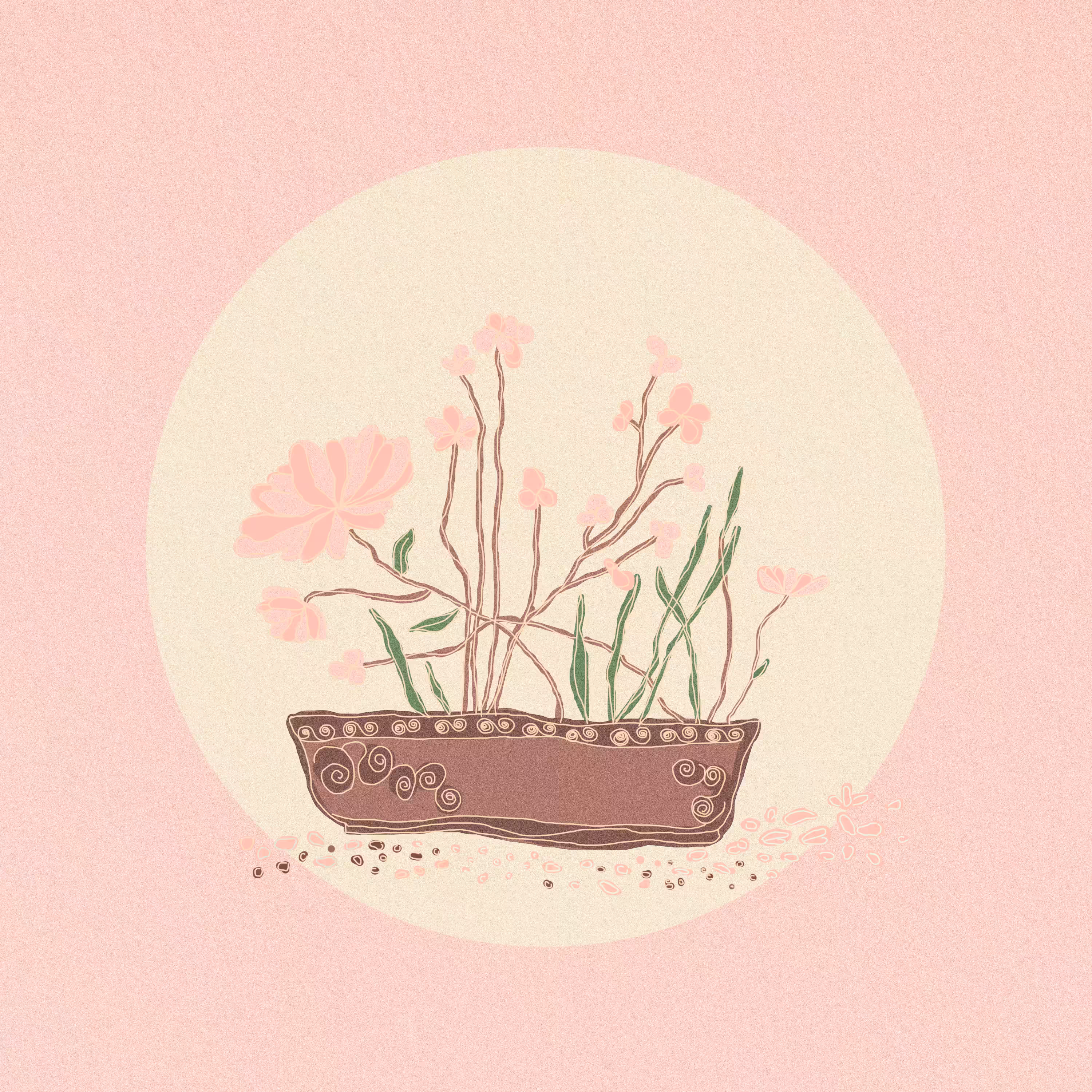Blooming