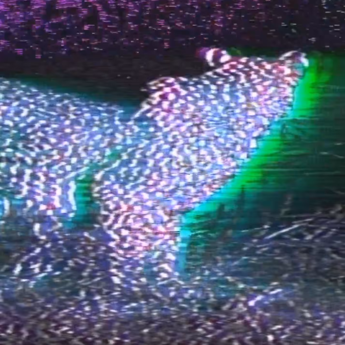 vhs dream 0095