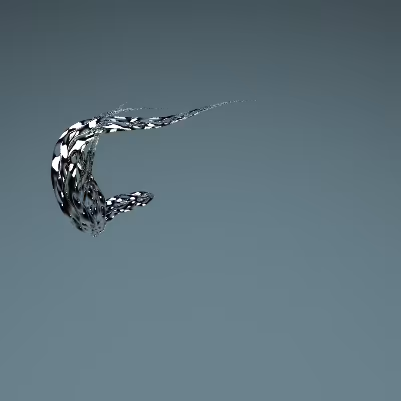 Silver Dragons #13