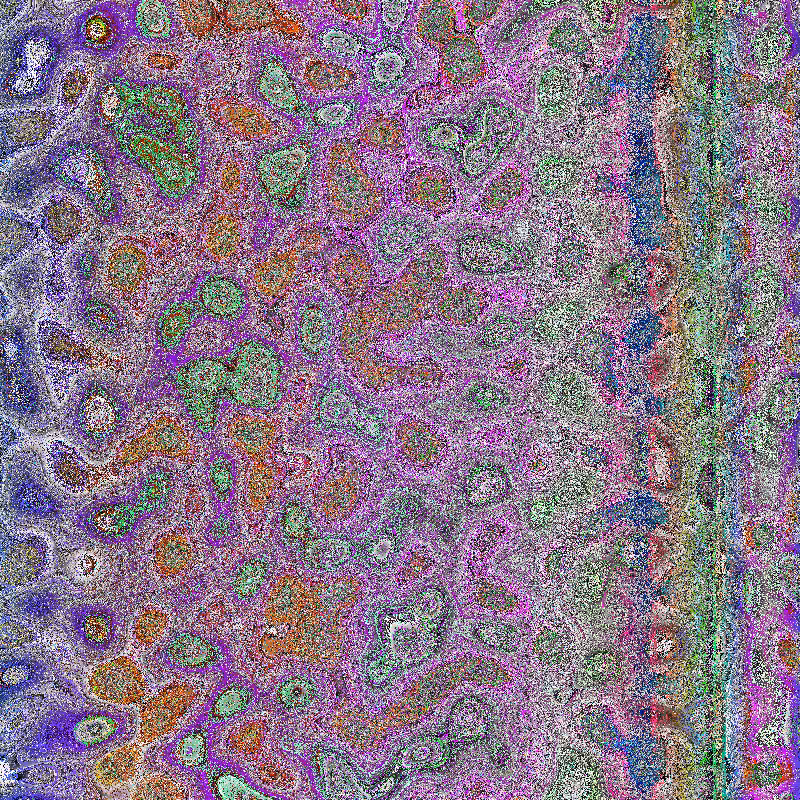 Bacteria Scanner #24