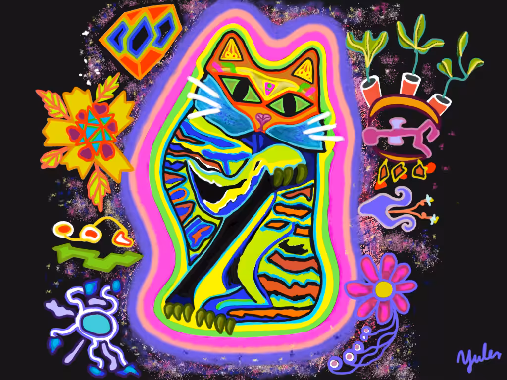 GALAXY/CAT 