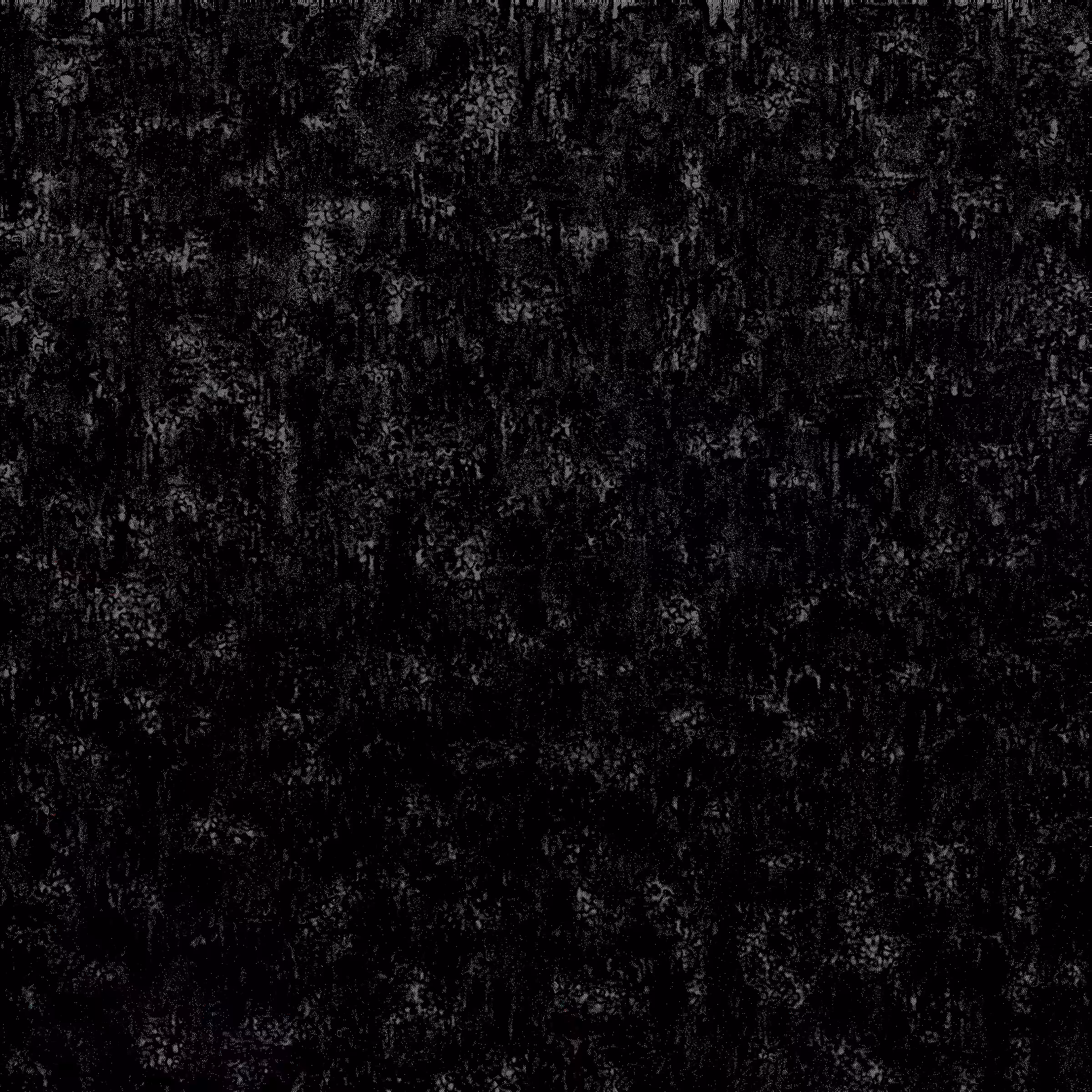 INWT 30