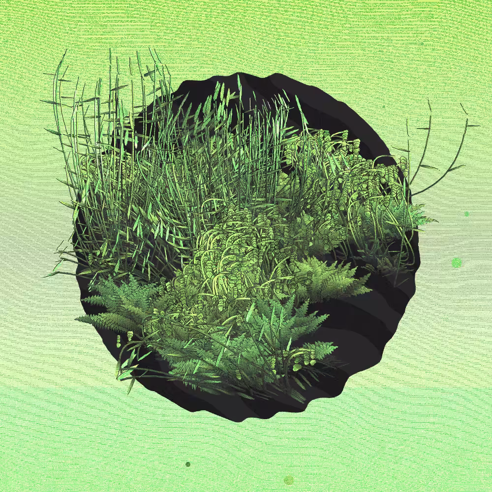A Gift of Nature #171