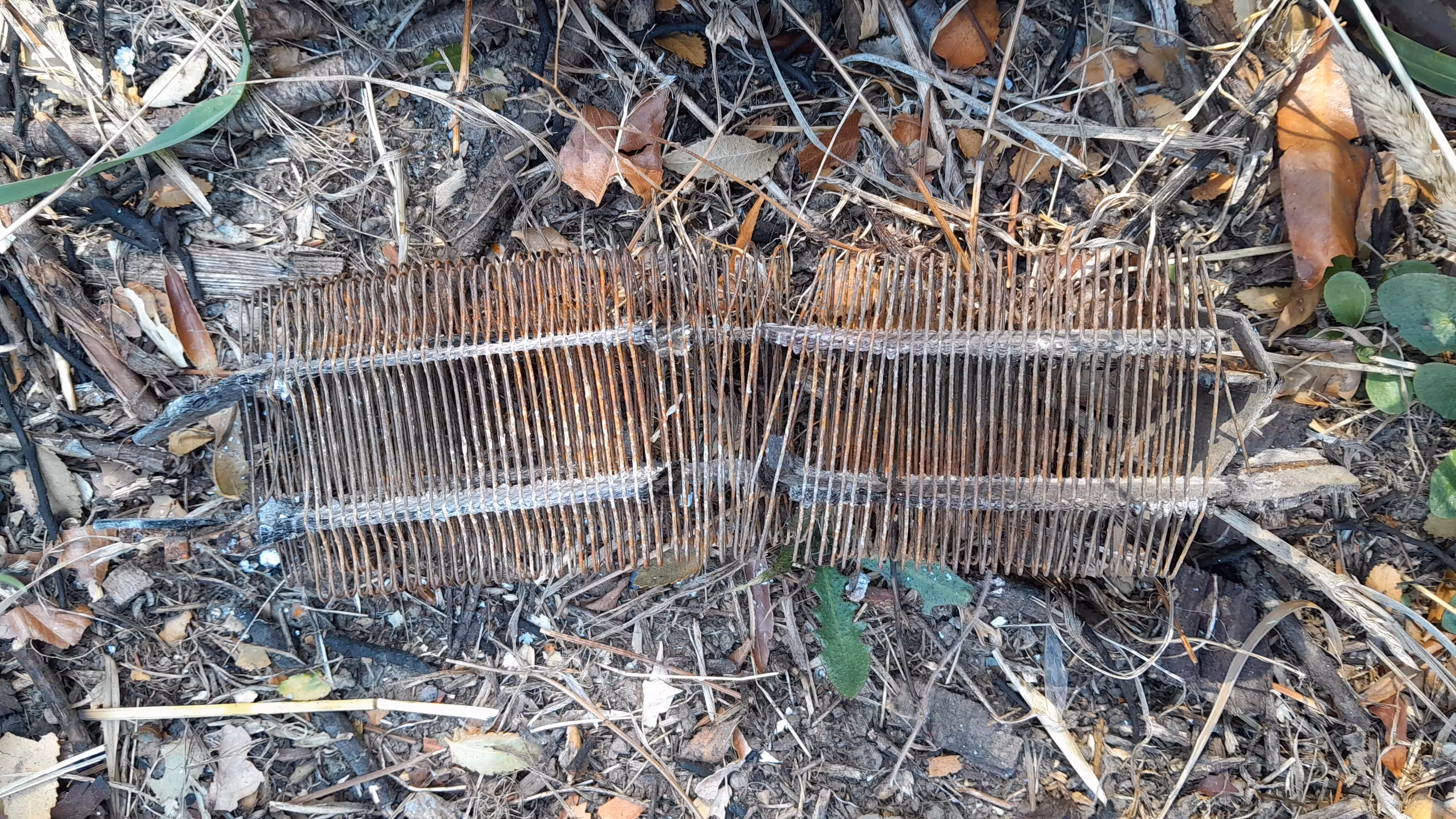 The remains #34