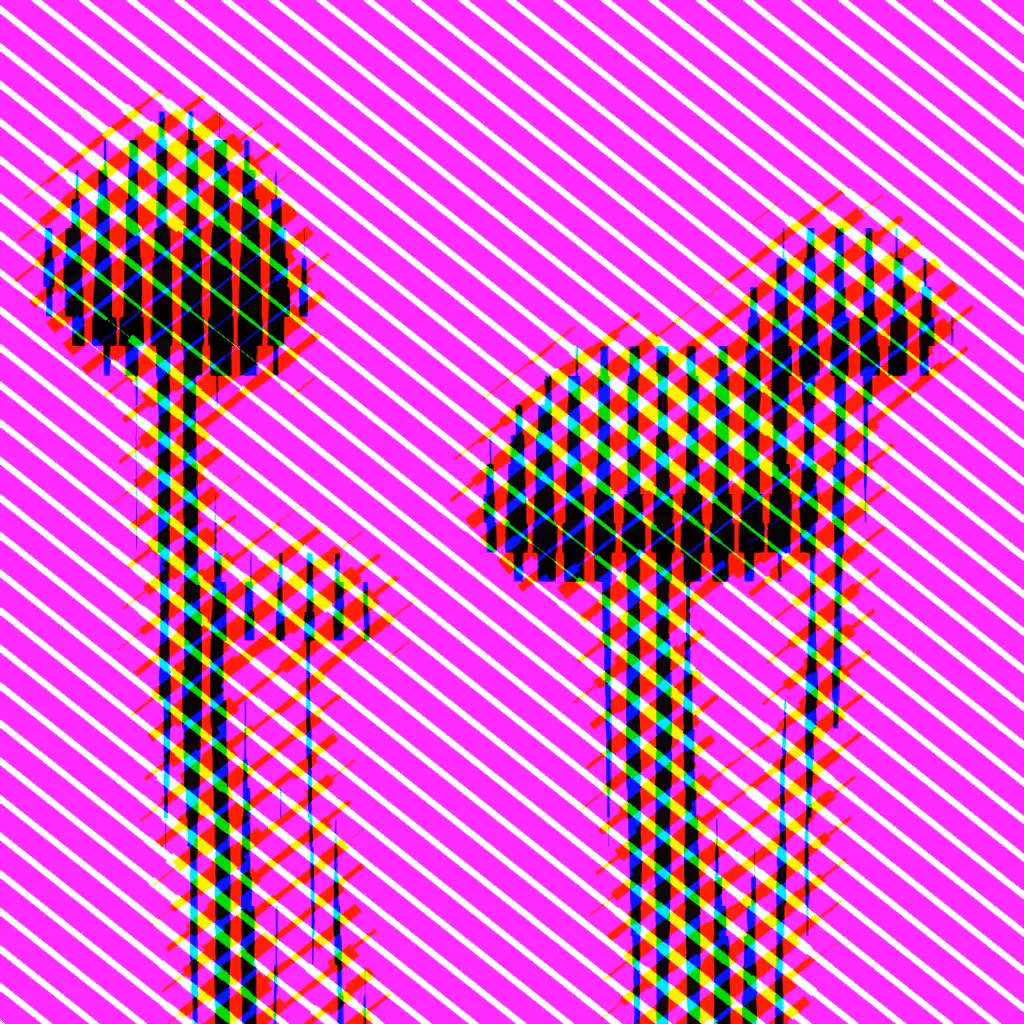 Psilocybe Azurescens #59